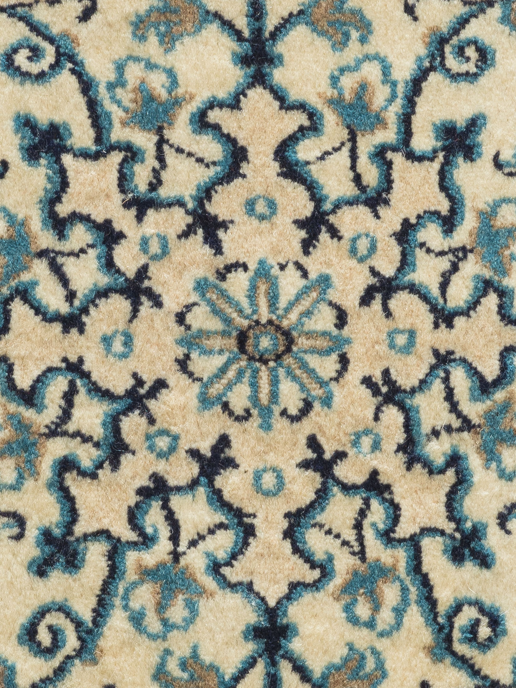 Kaschmar Nain 12 Lah