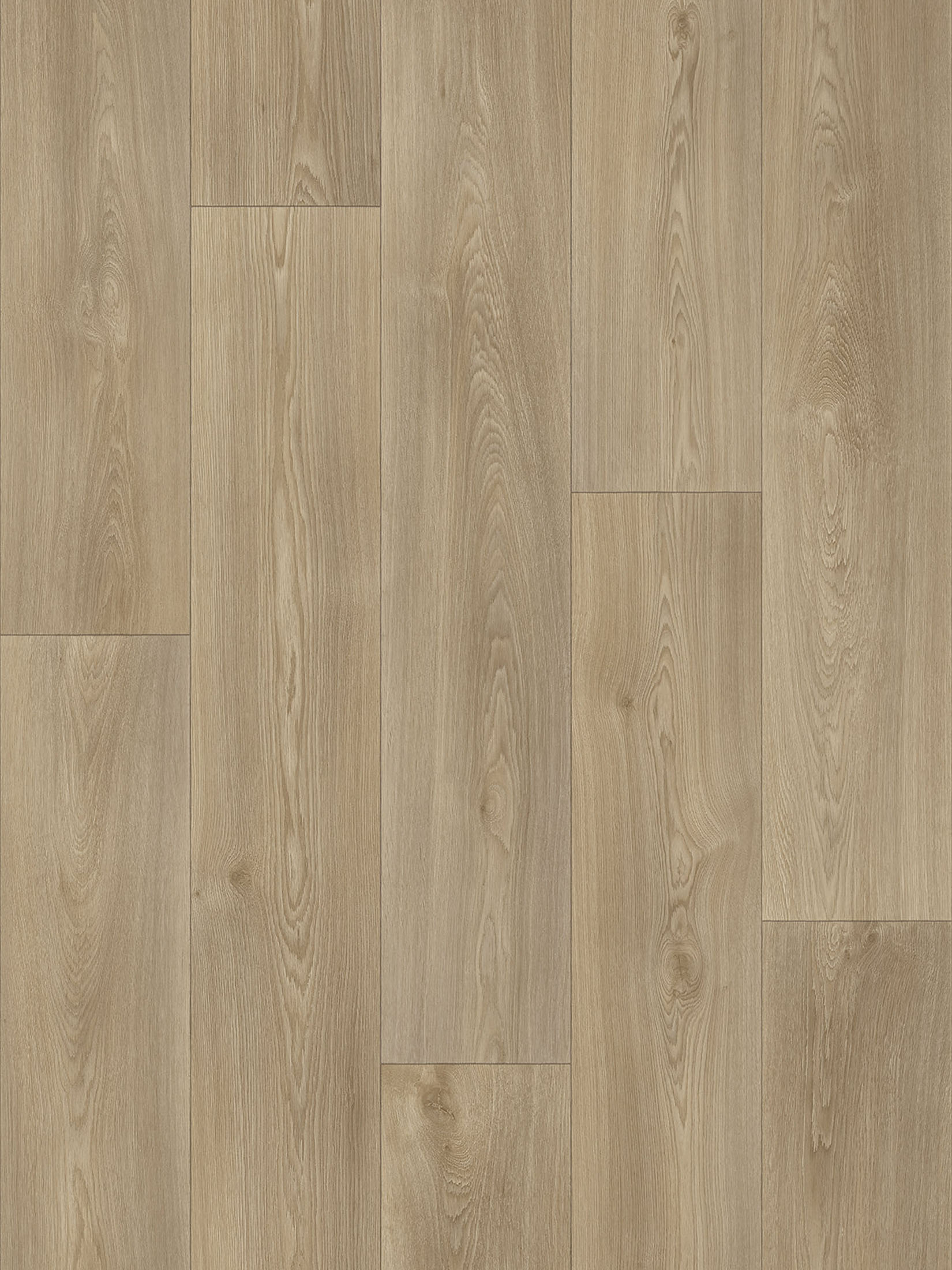 Nature Royal Nature Royal