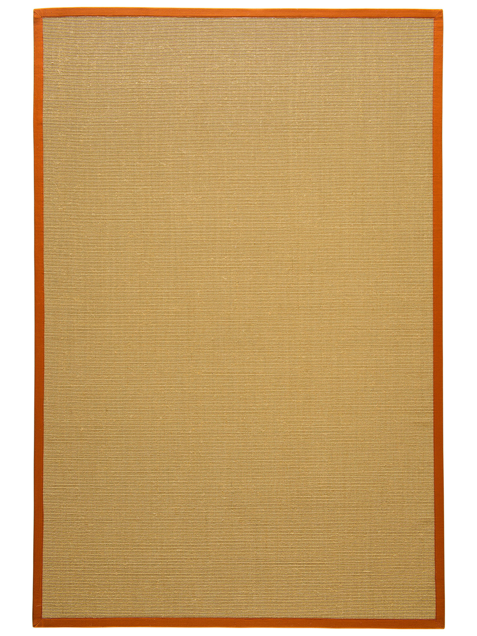 Aruba Nature Aruba Nature