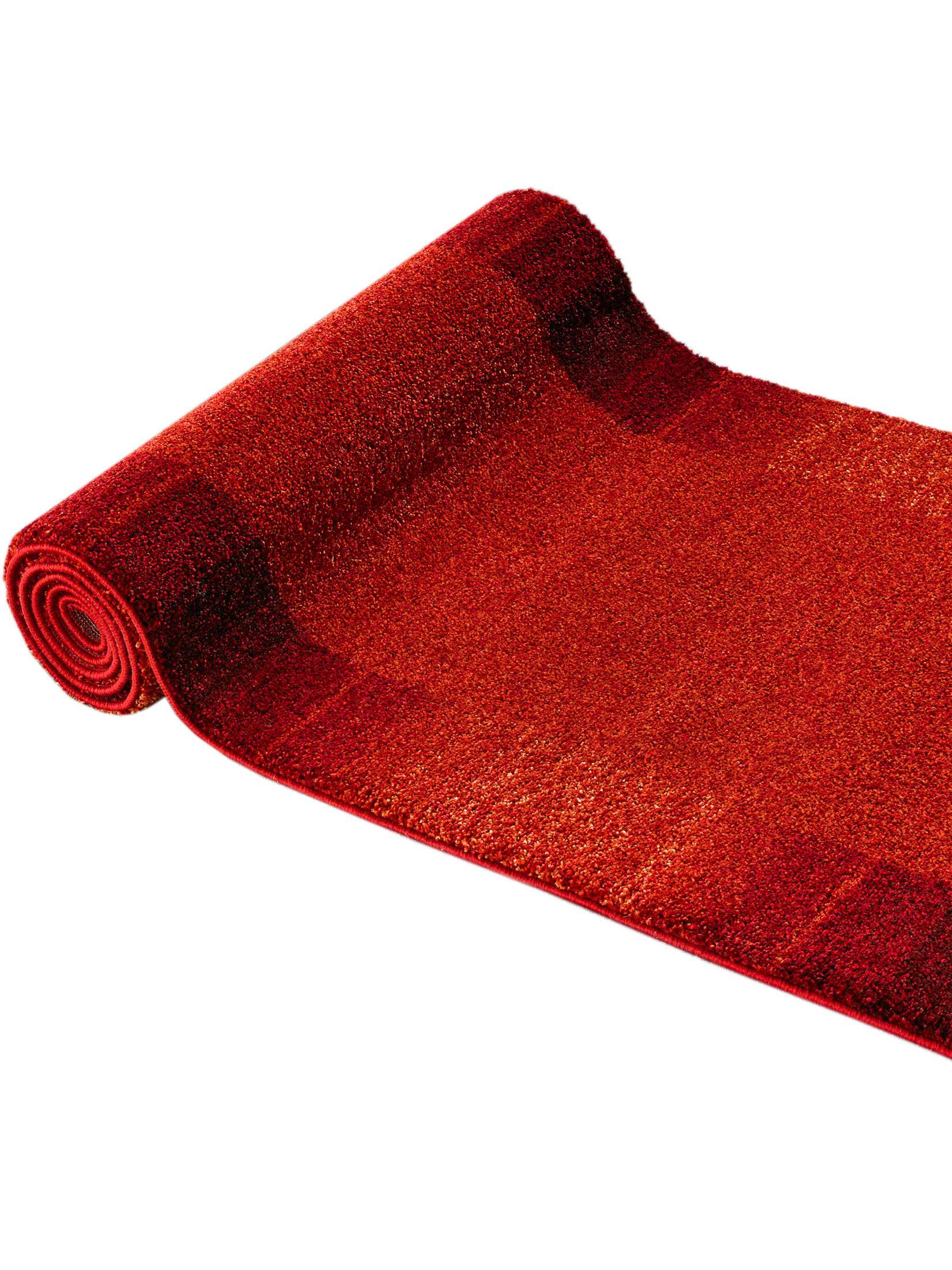 Night Life Night Life