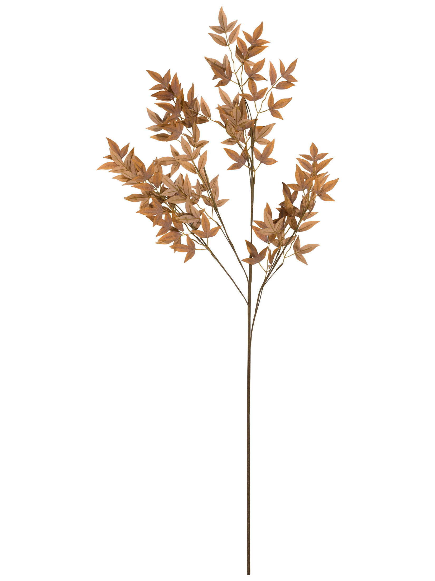 Arena Classic Silicone Jr - Cuffie Nuoto | Nencini Sport - Foto 12