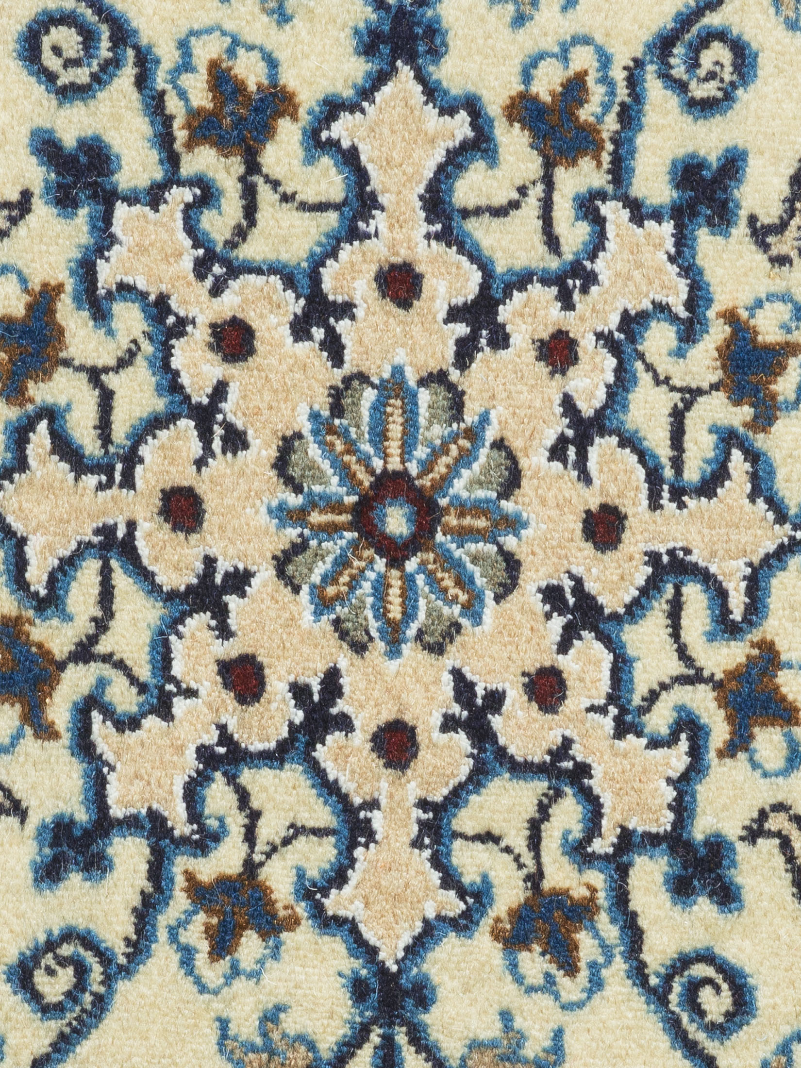 Kaschmar Nain 12 Lah