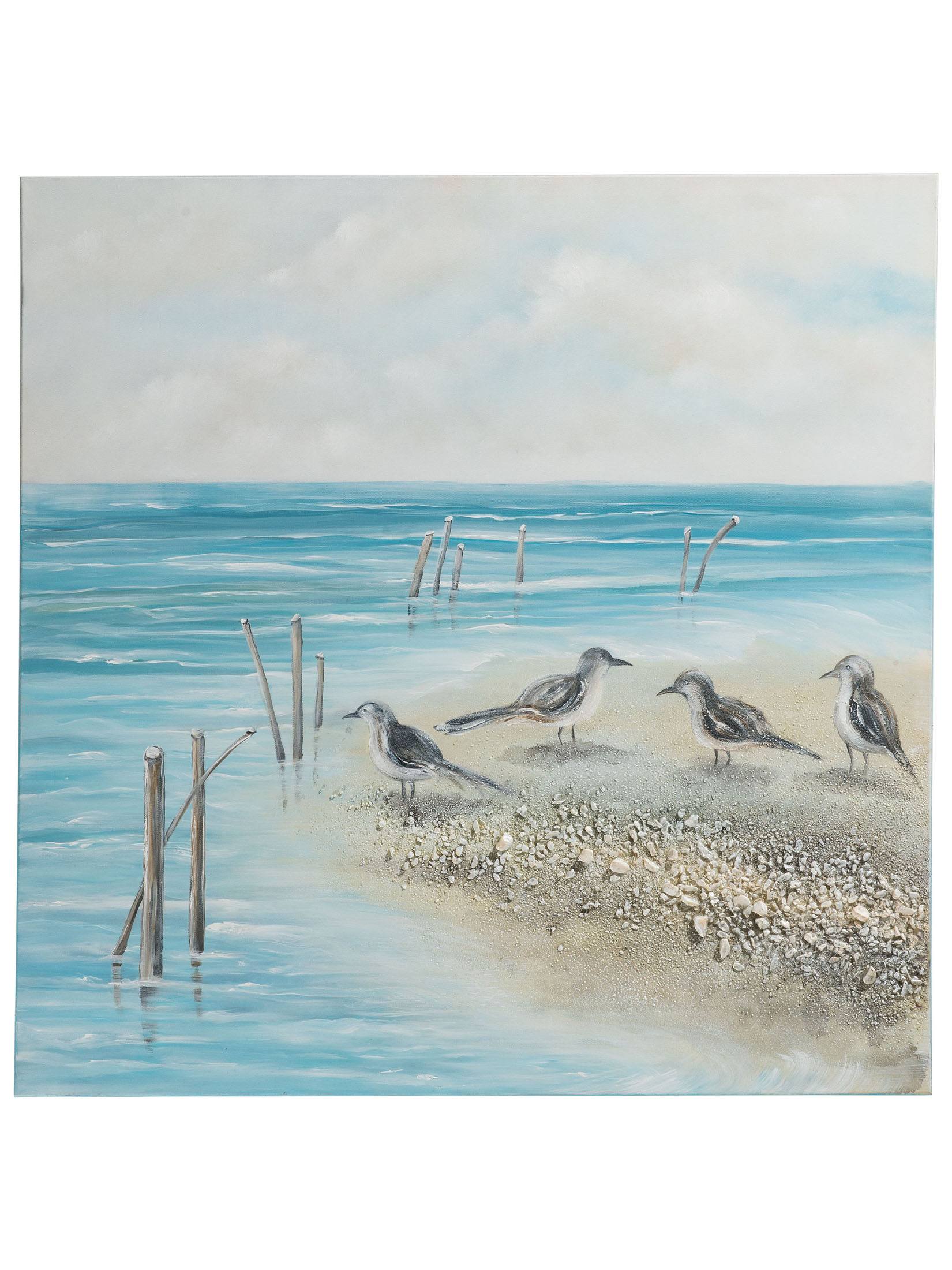 Möwen am Strand Möwen am Strand