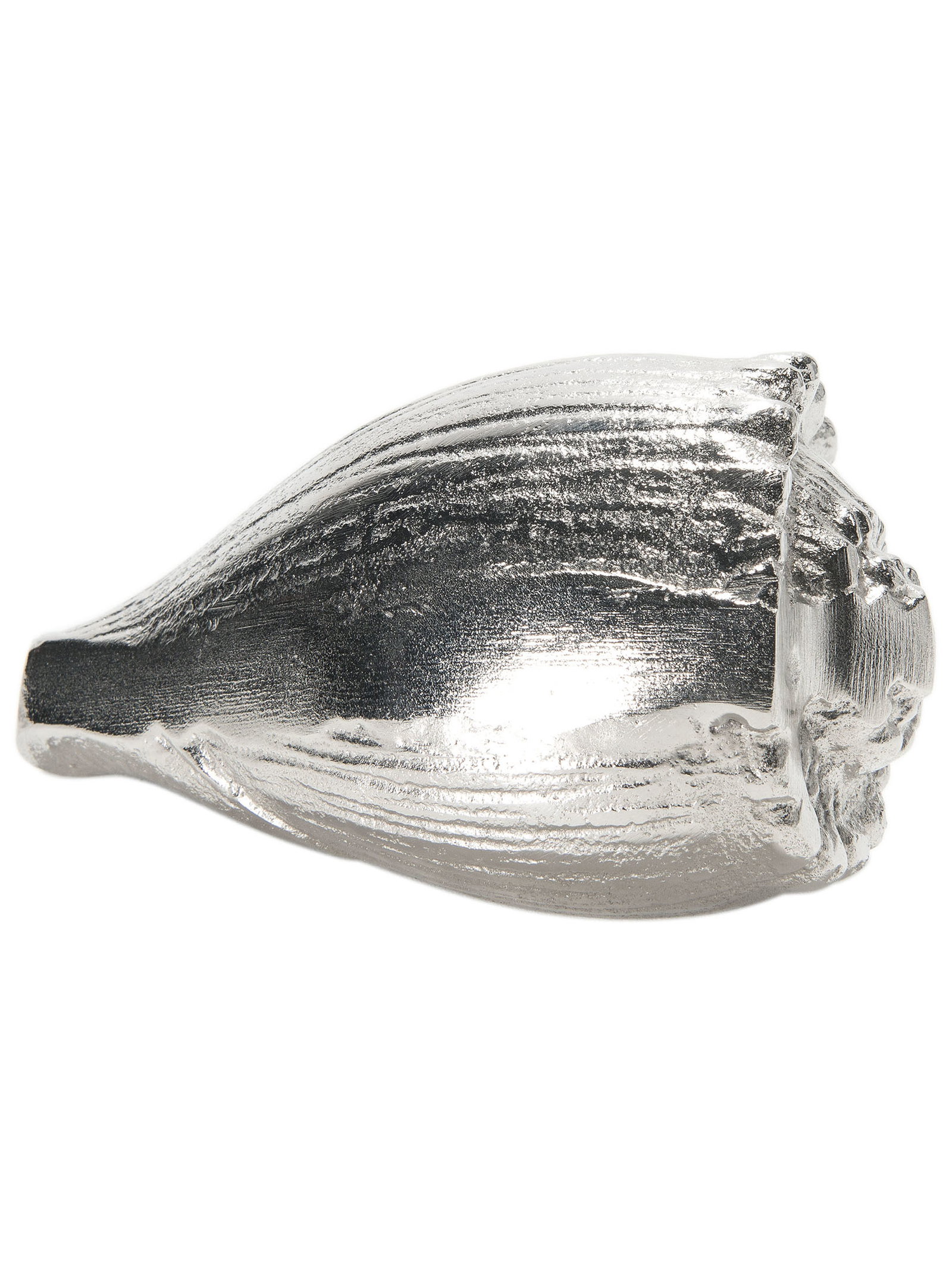 Seashell