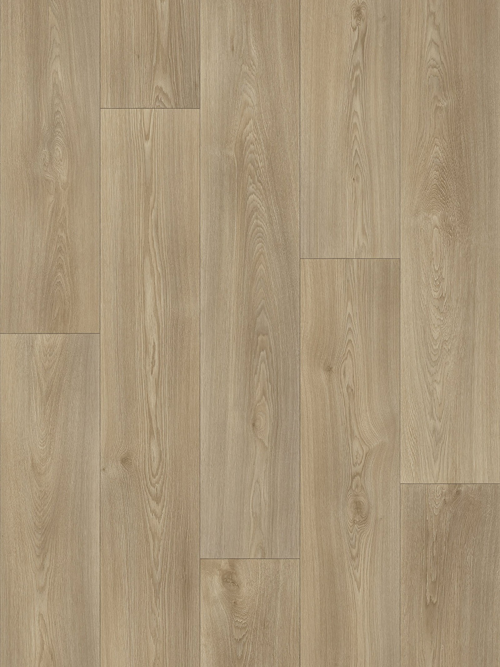 Summer Oak