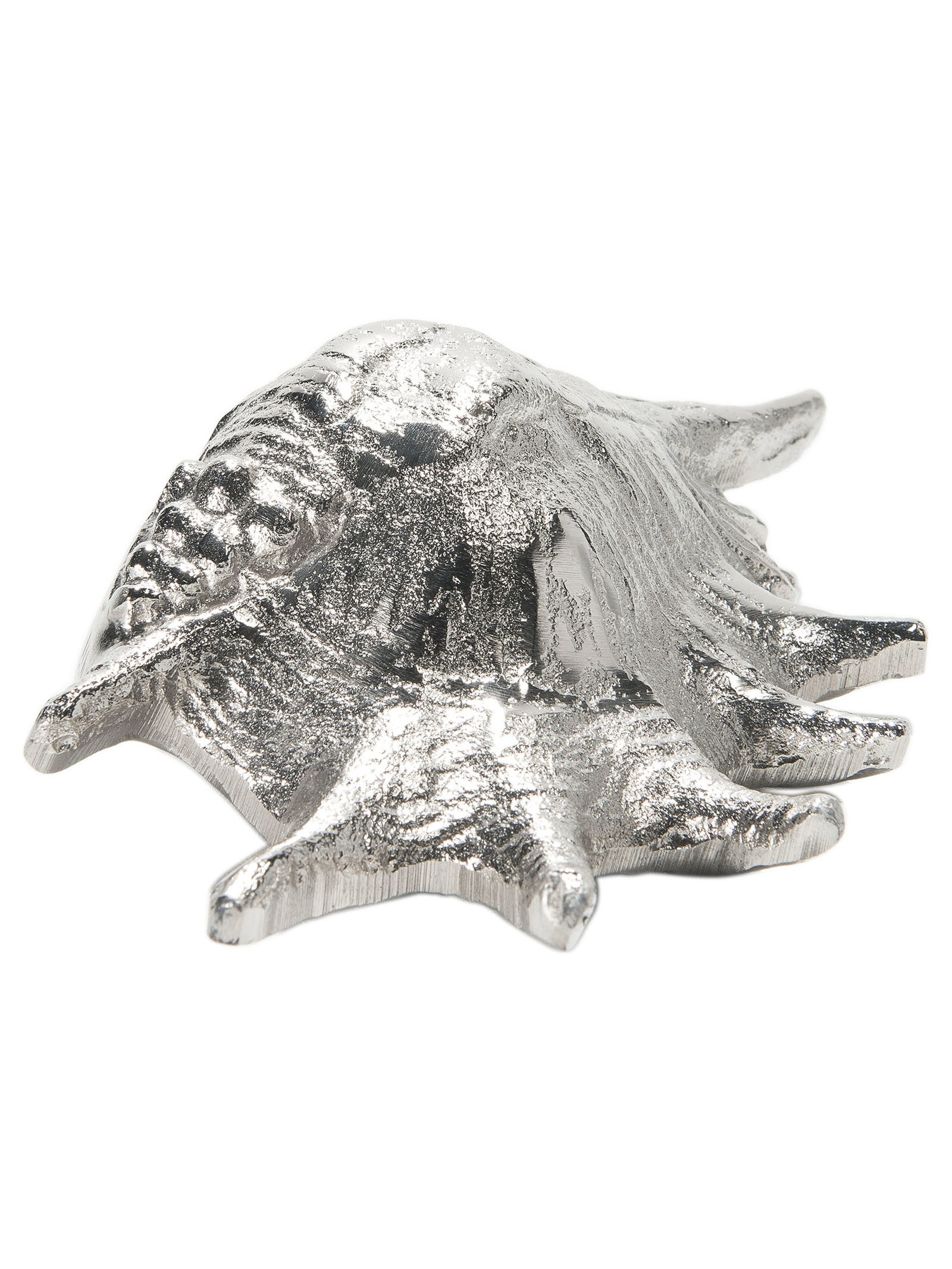 Seashell