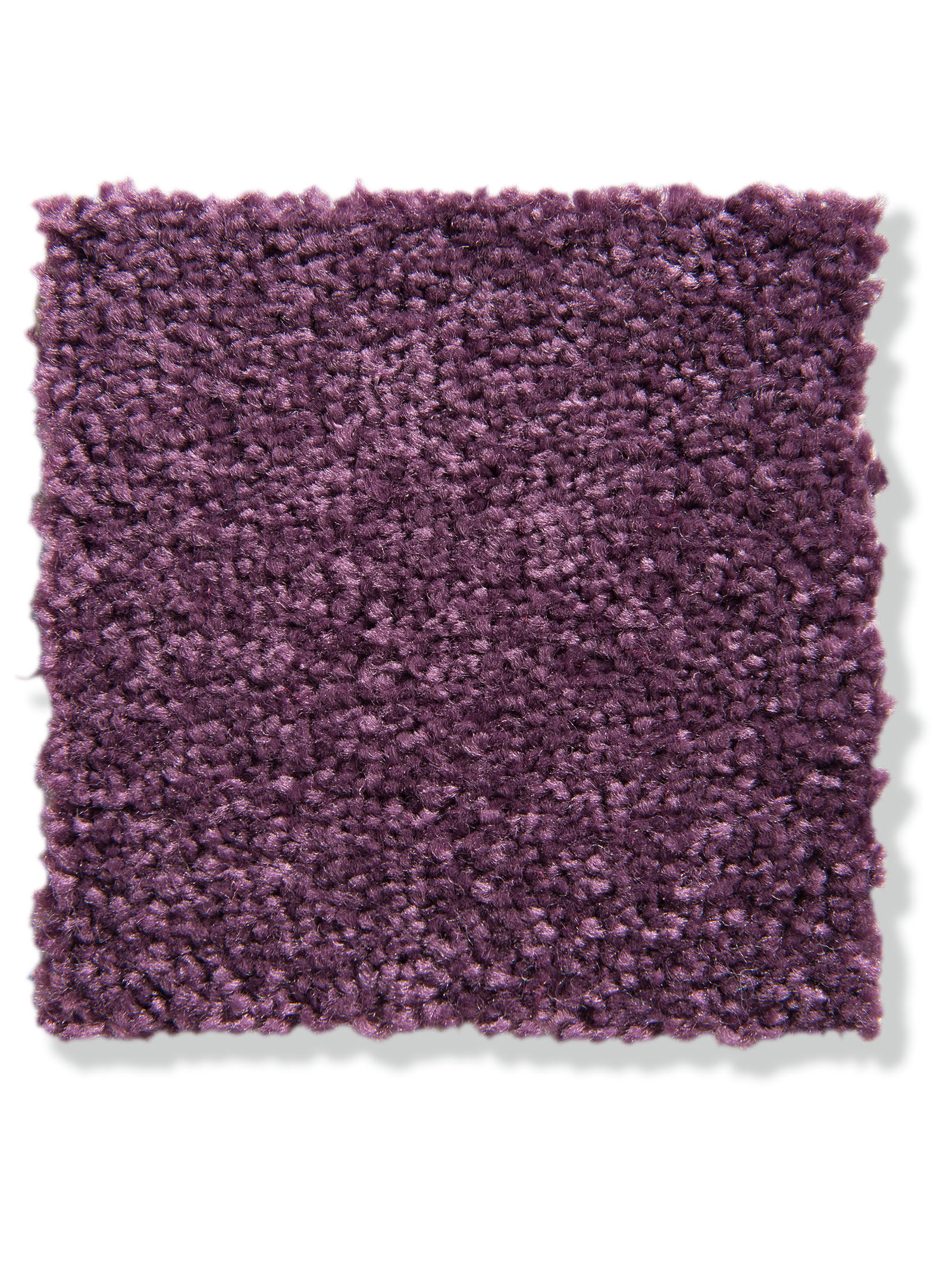 Lavendel