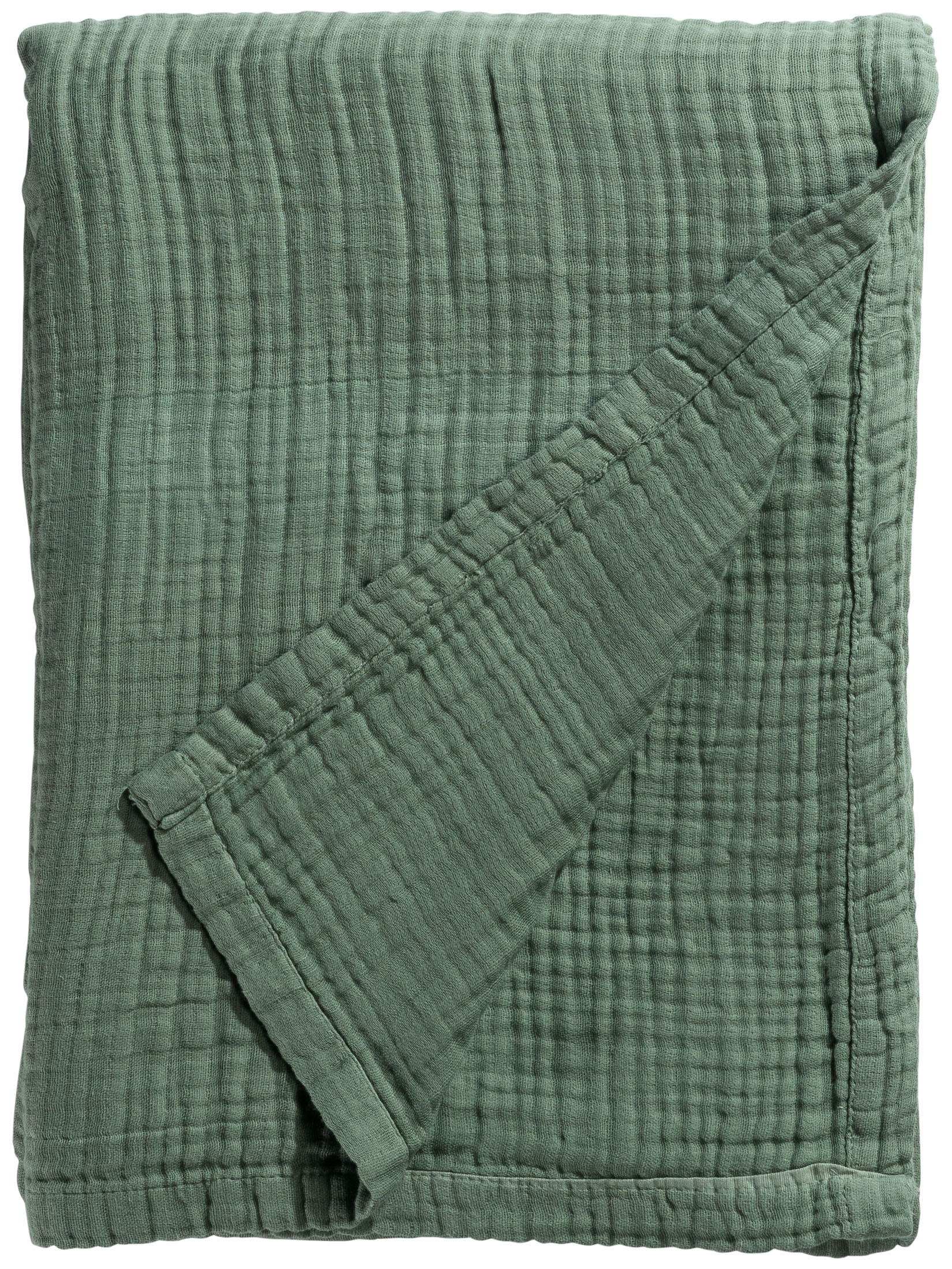 Capua