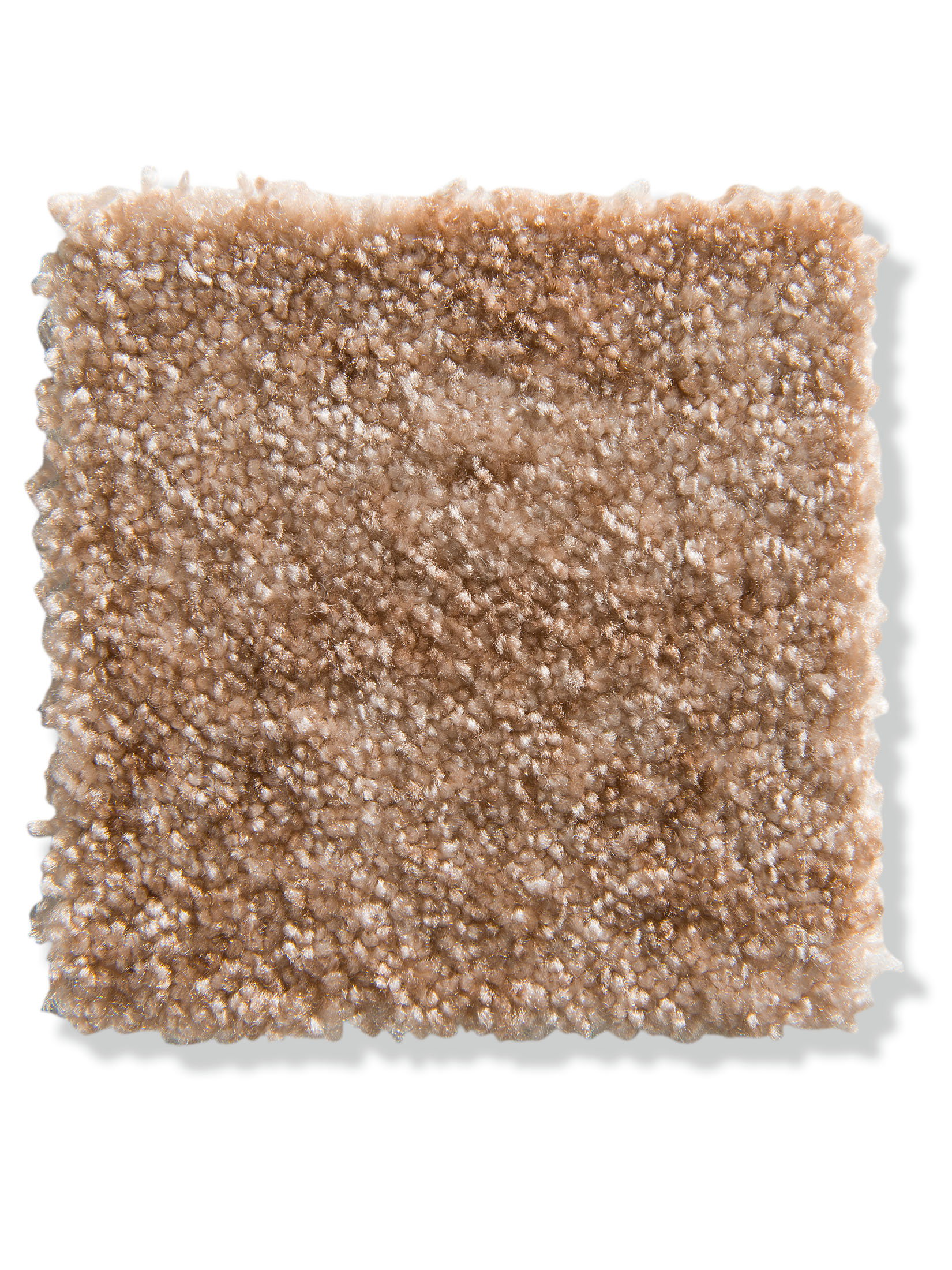 Sahara