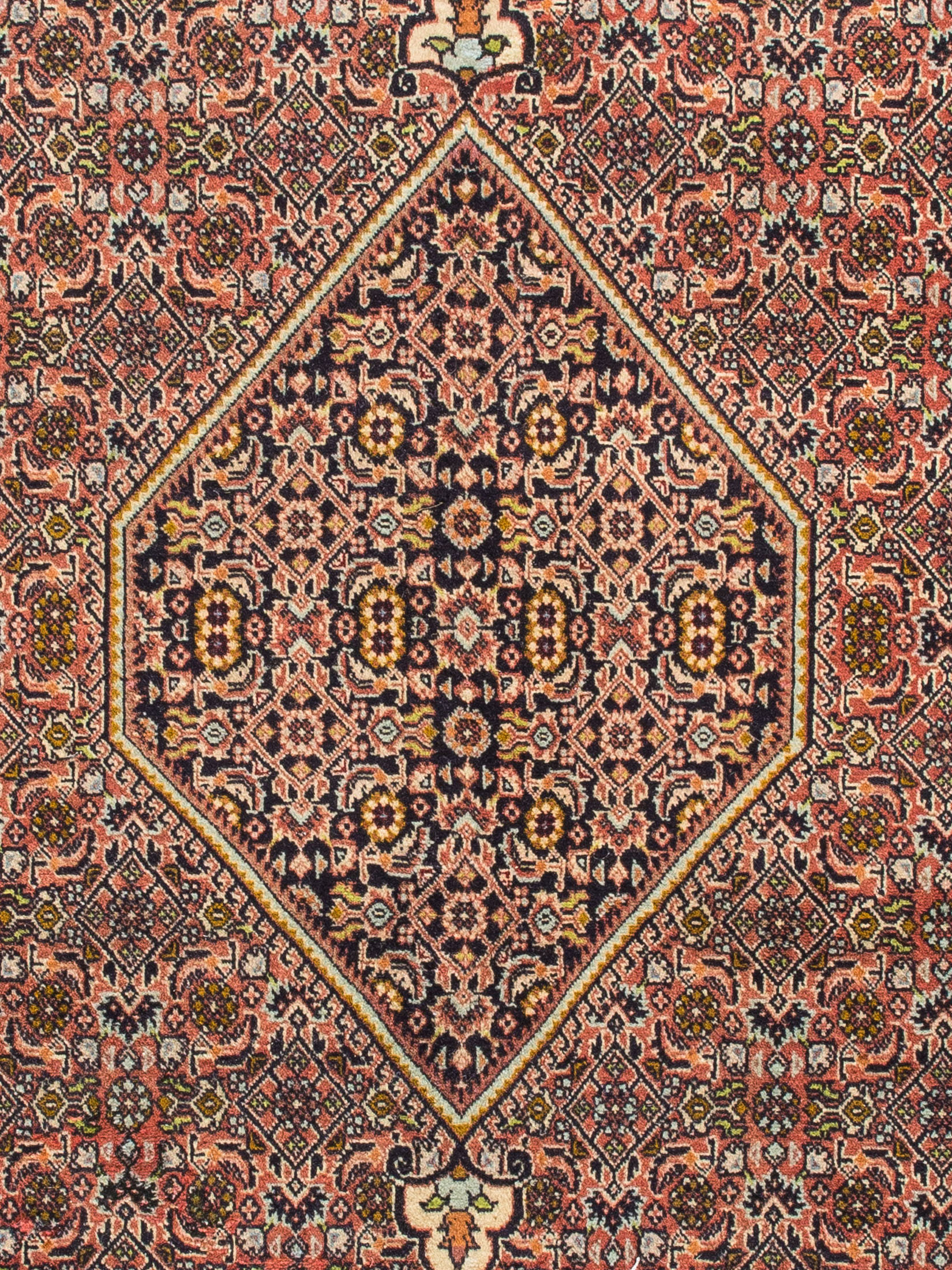 Bidjar