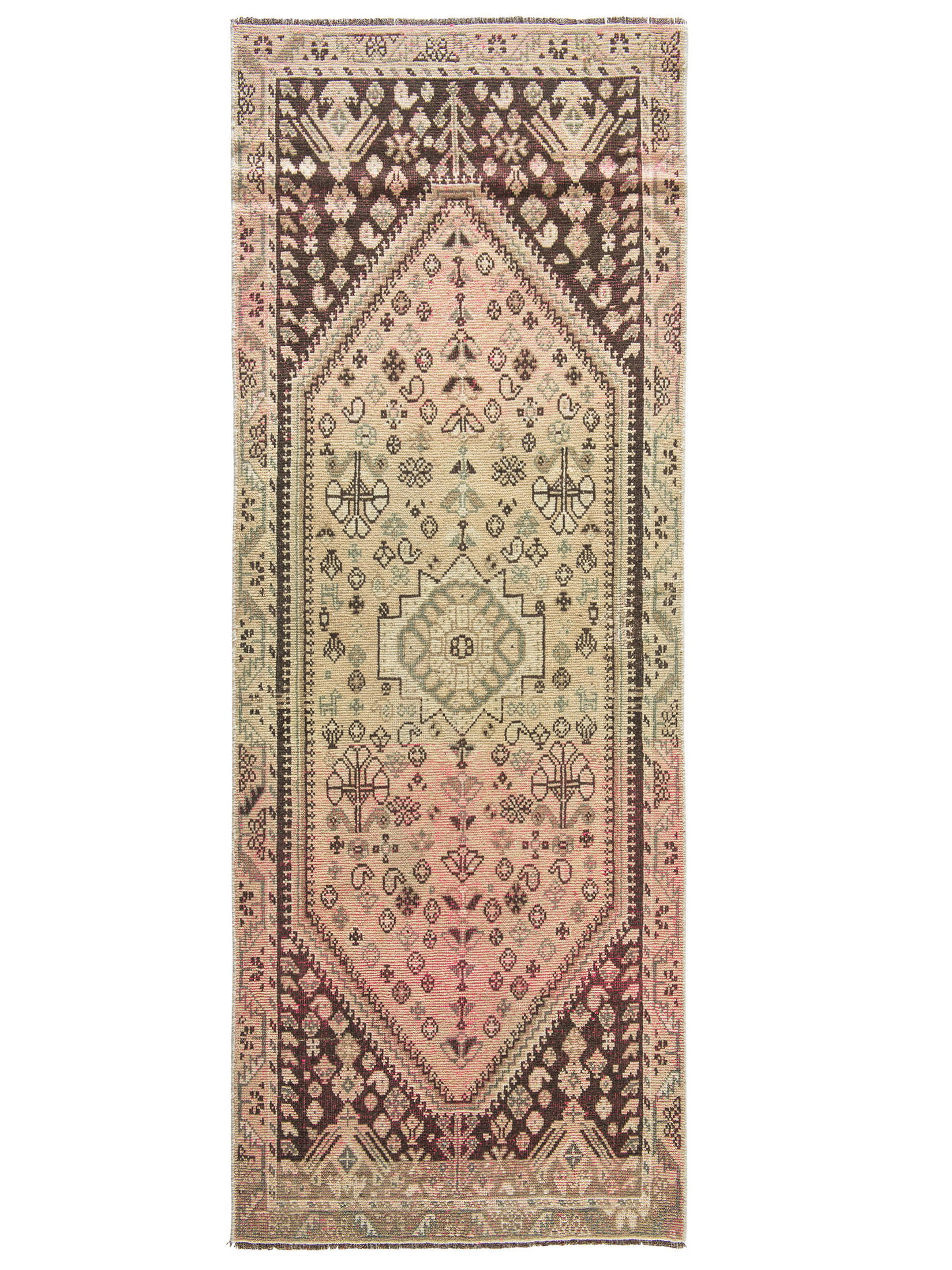 Shiraz Vintage