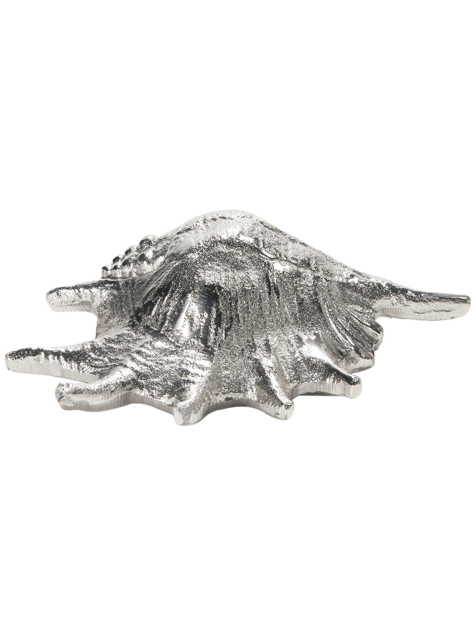 Seashell