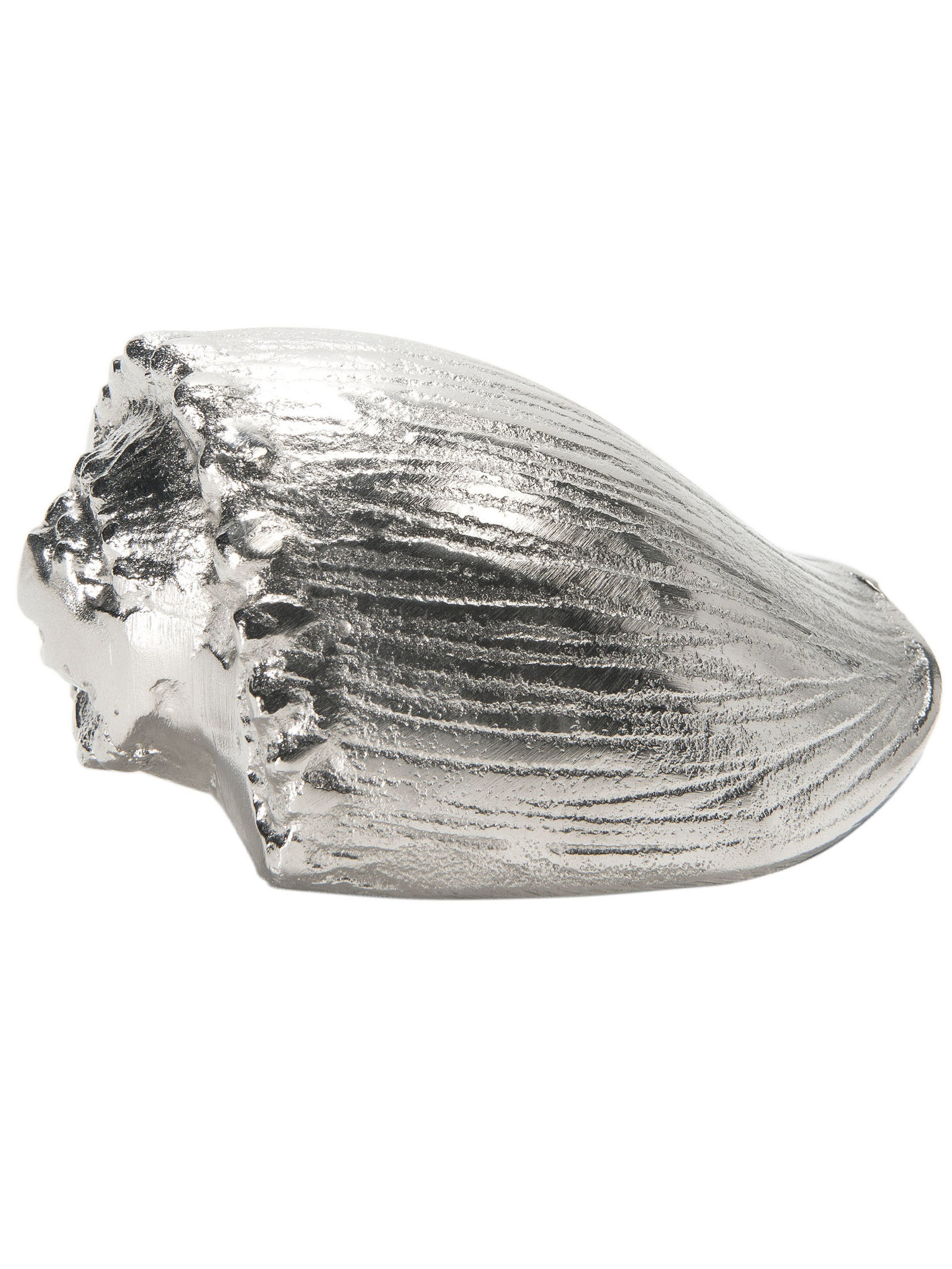 Seashell