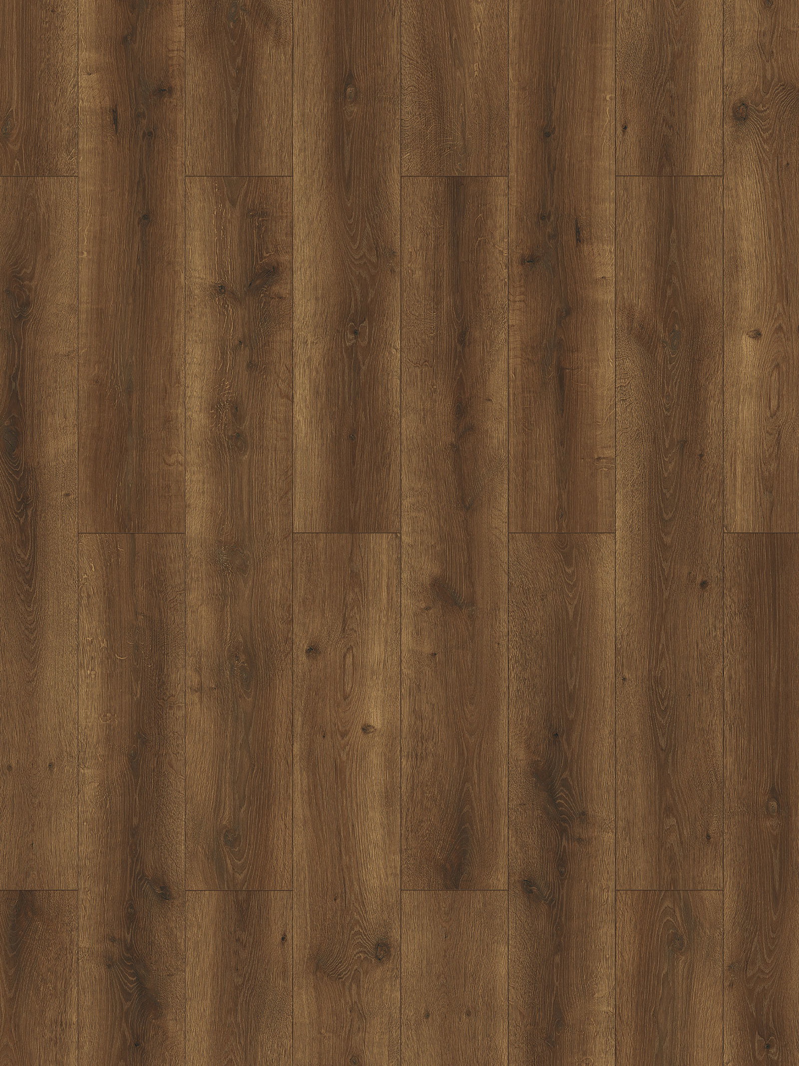 Timeless Oak