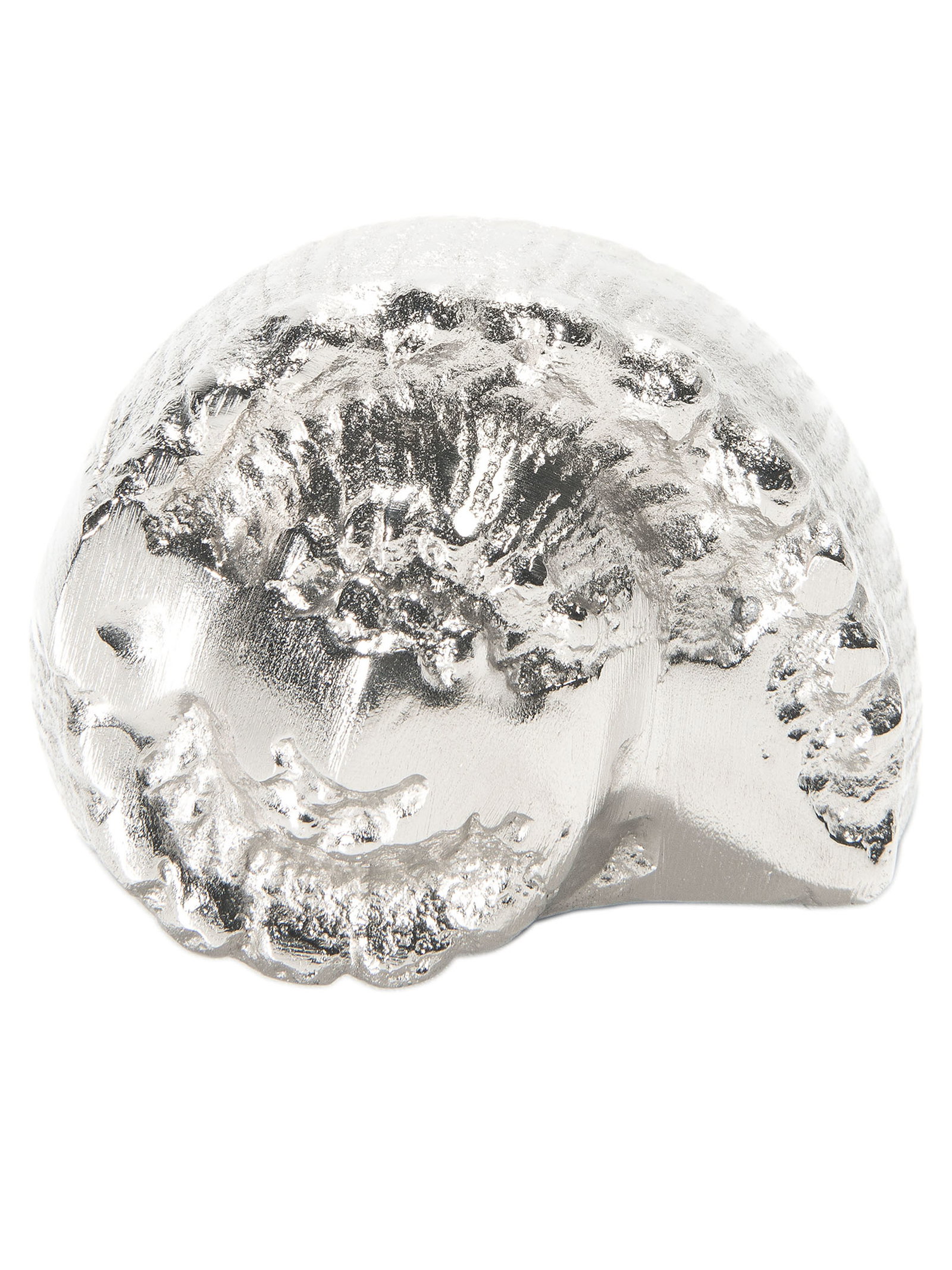Seashell