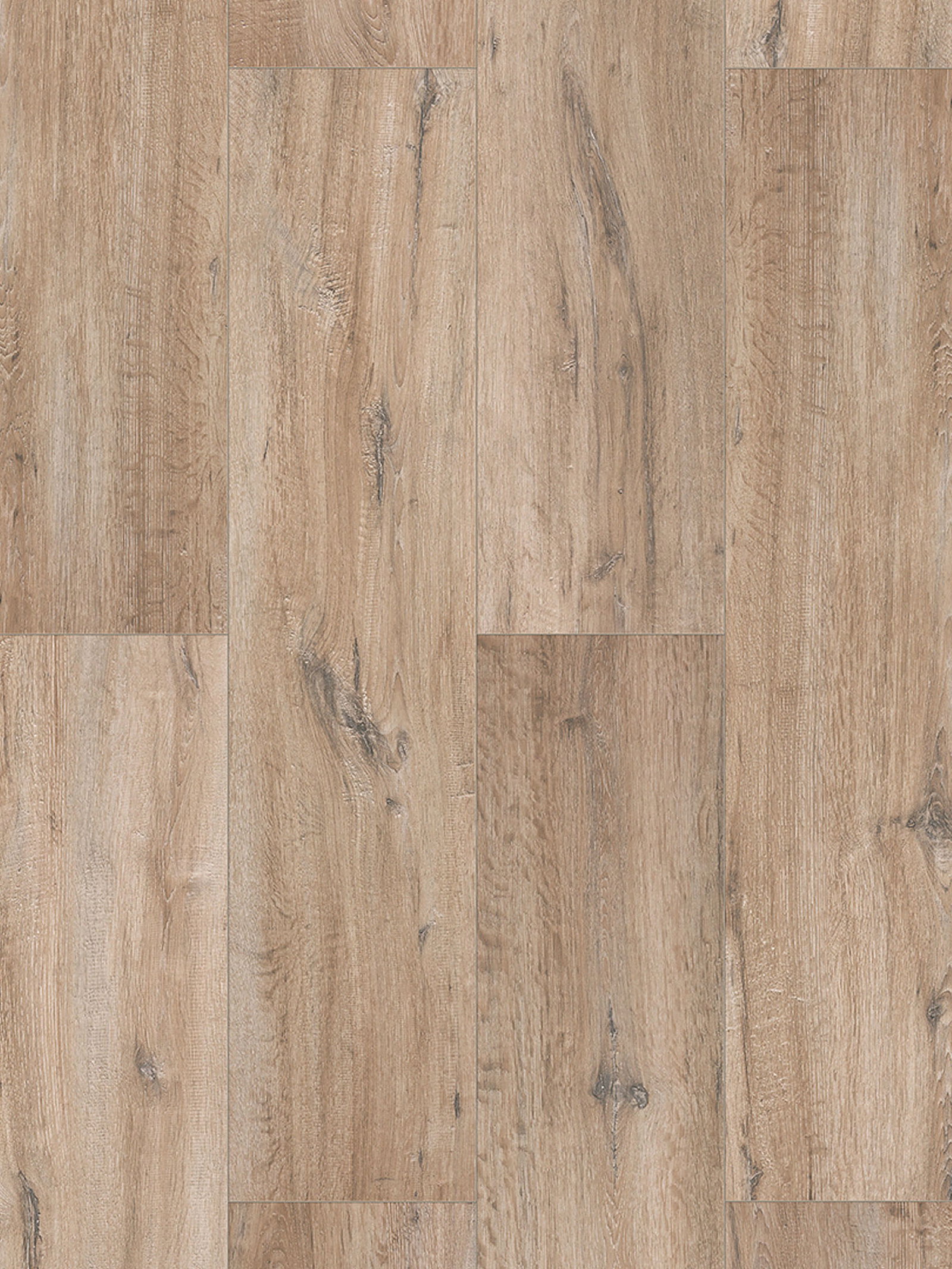 Bright Living Oak