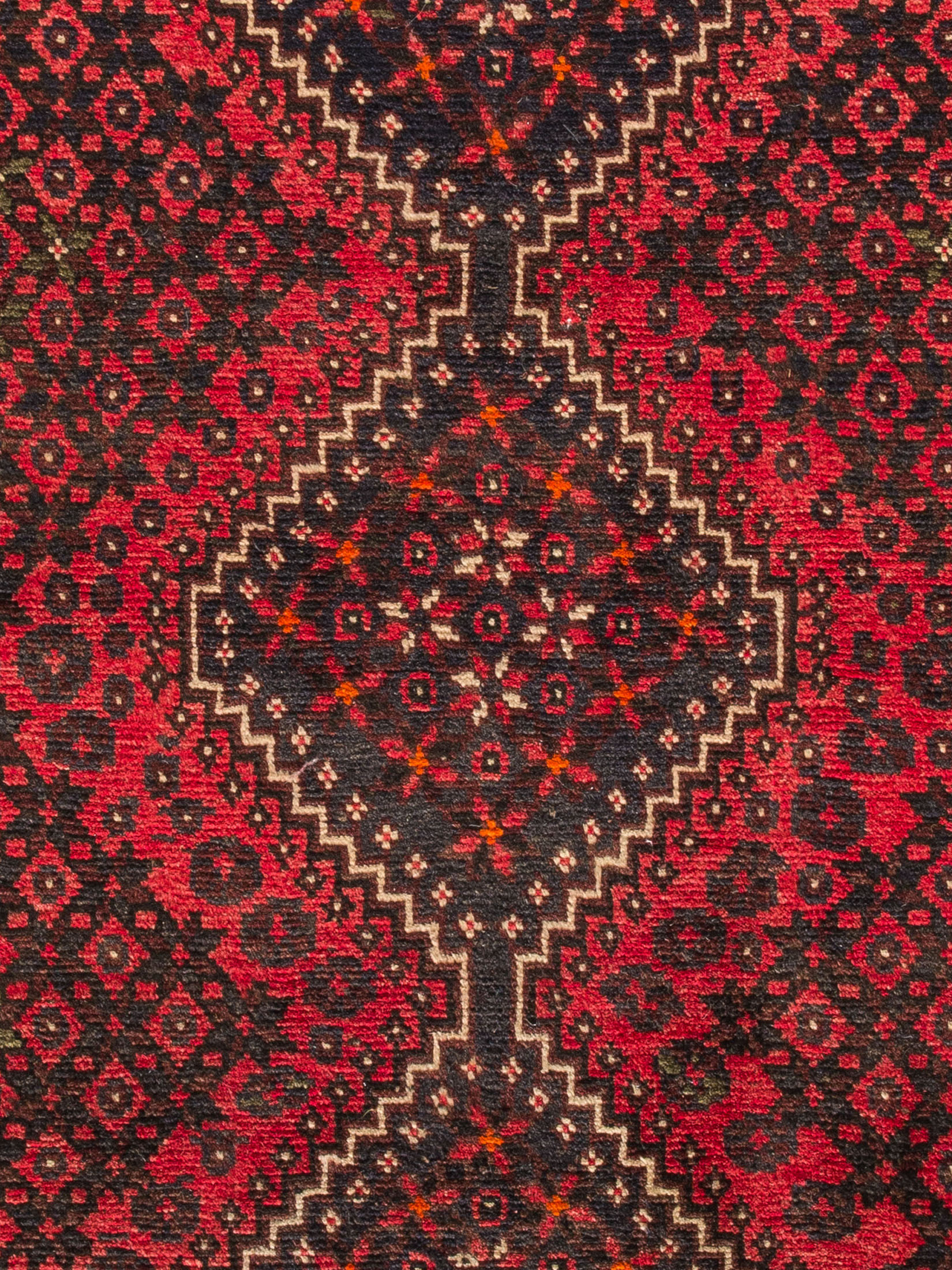 Shiraz