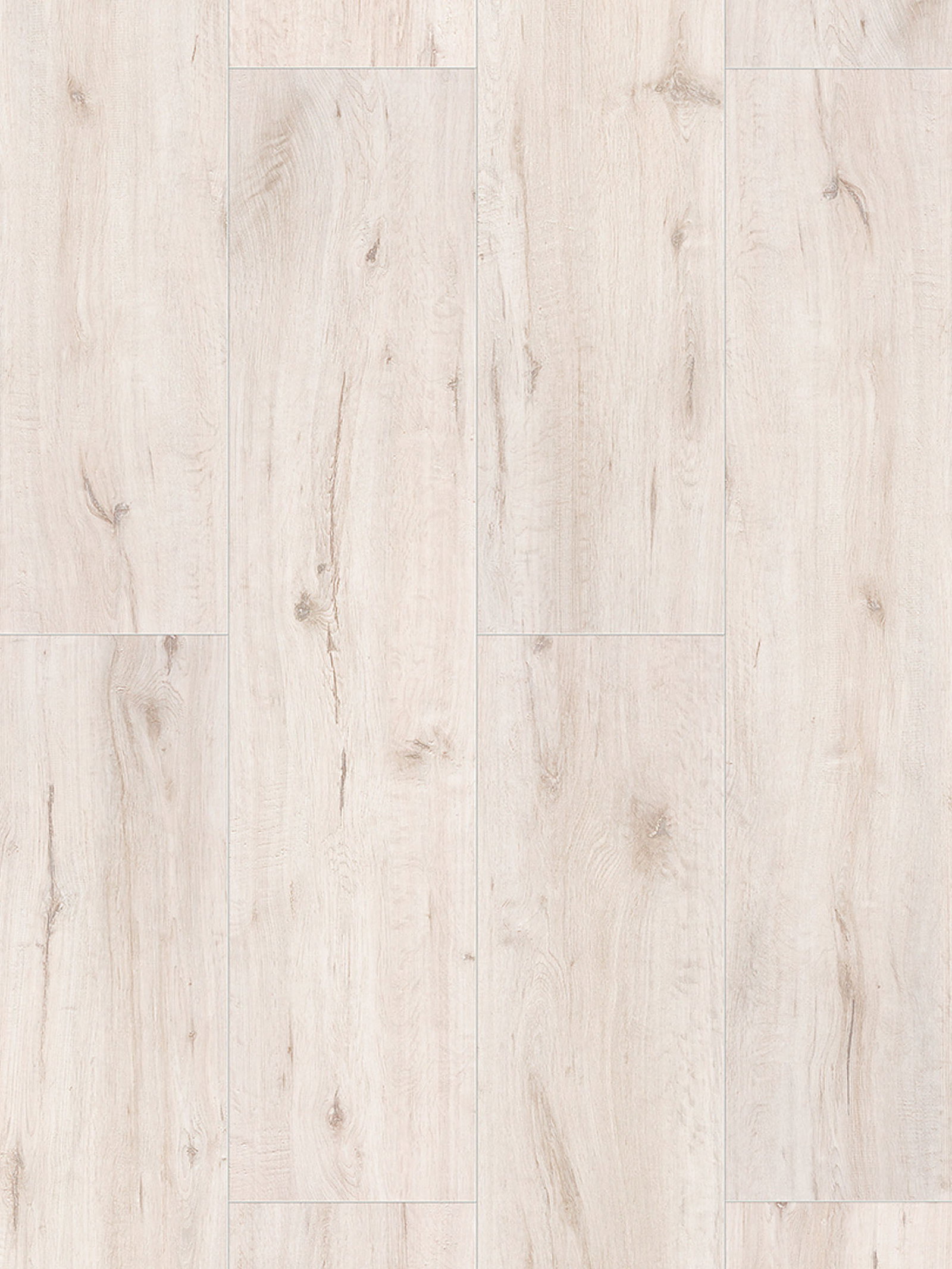 Shiny White Oak