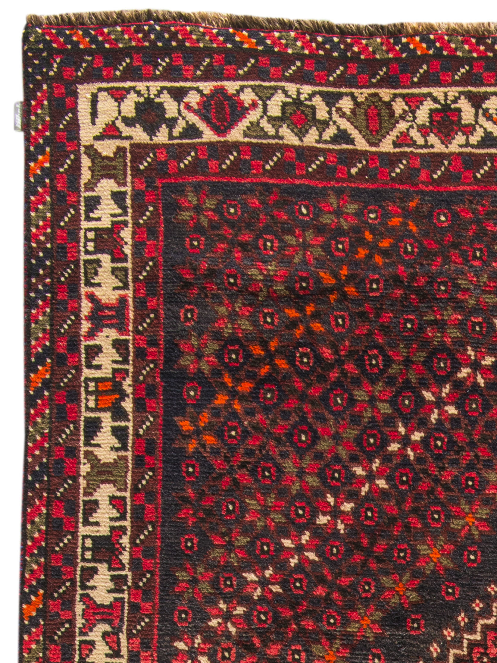 Shiraz