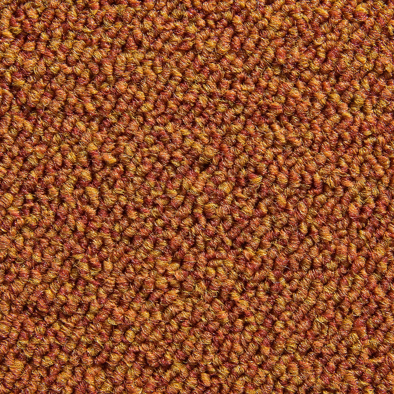 Terra