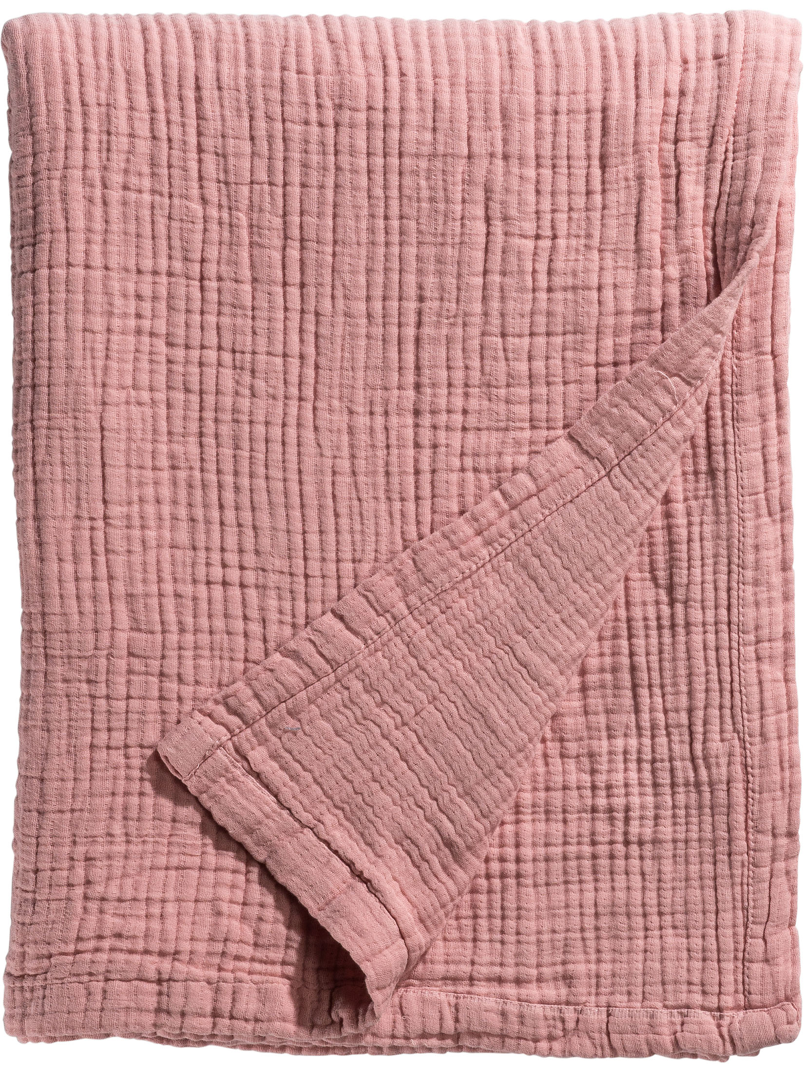 Capua