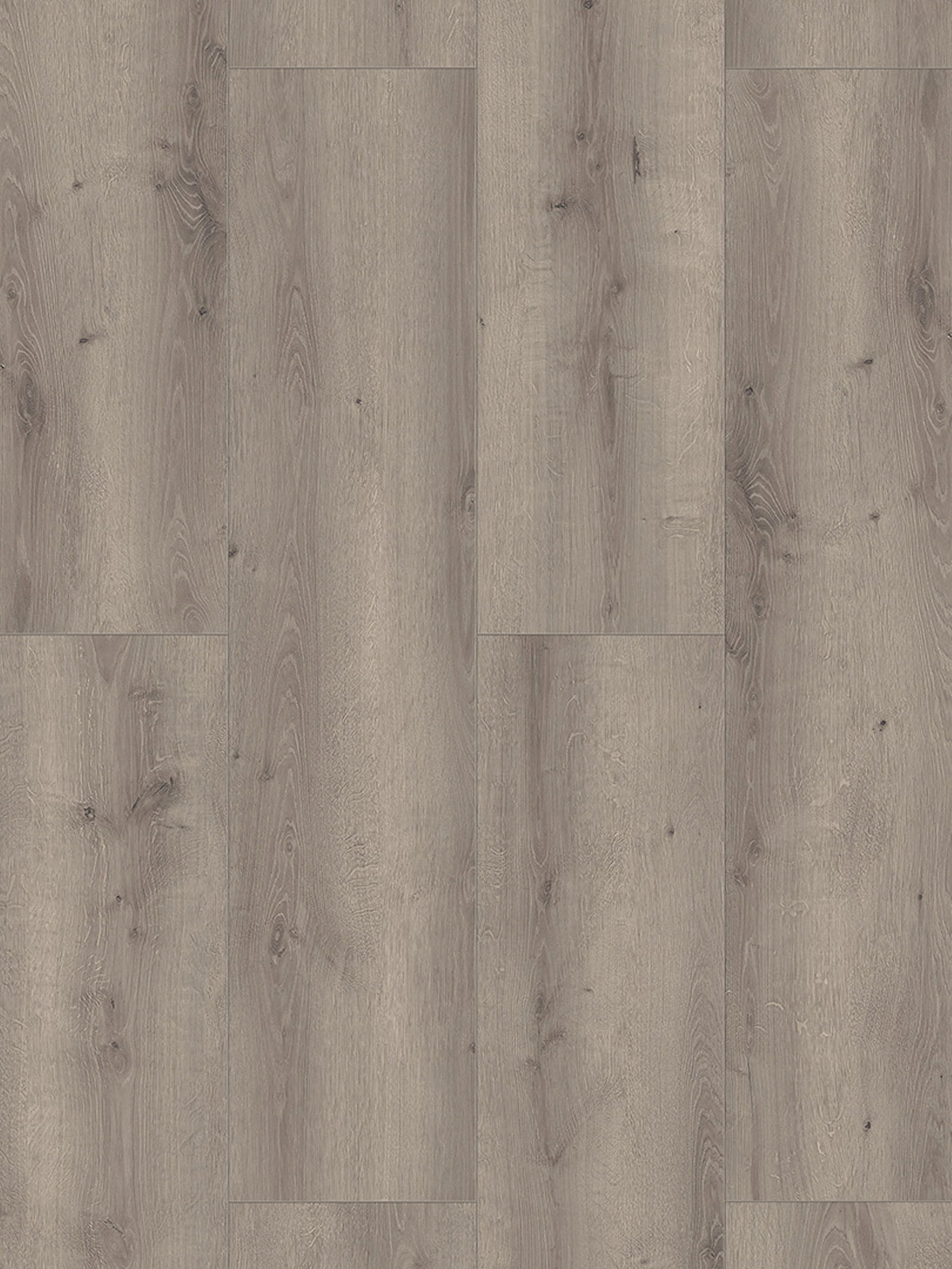 Bright Grey Oak