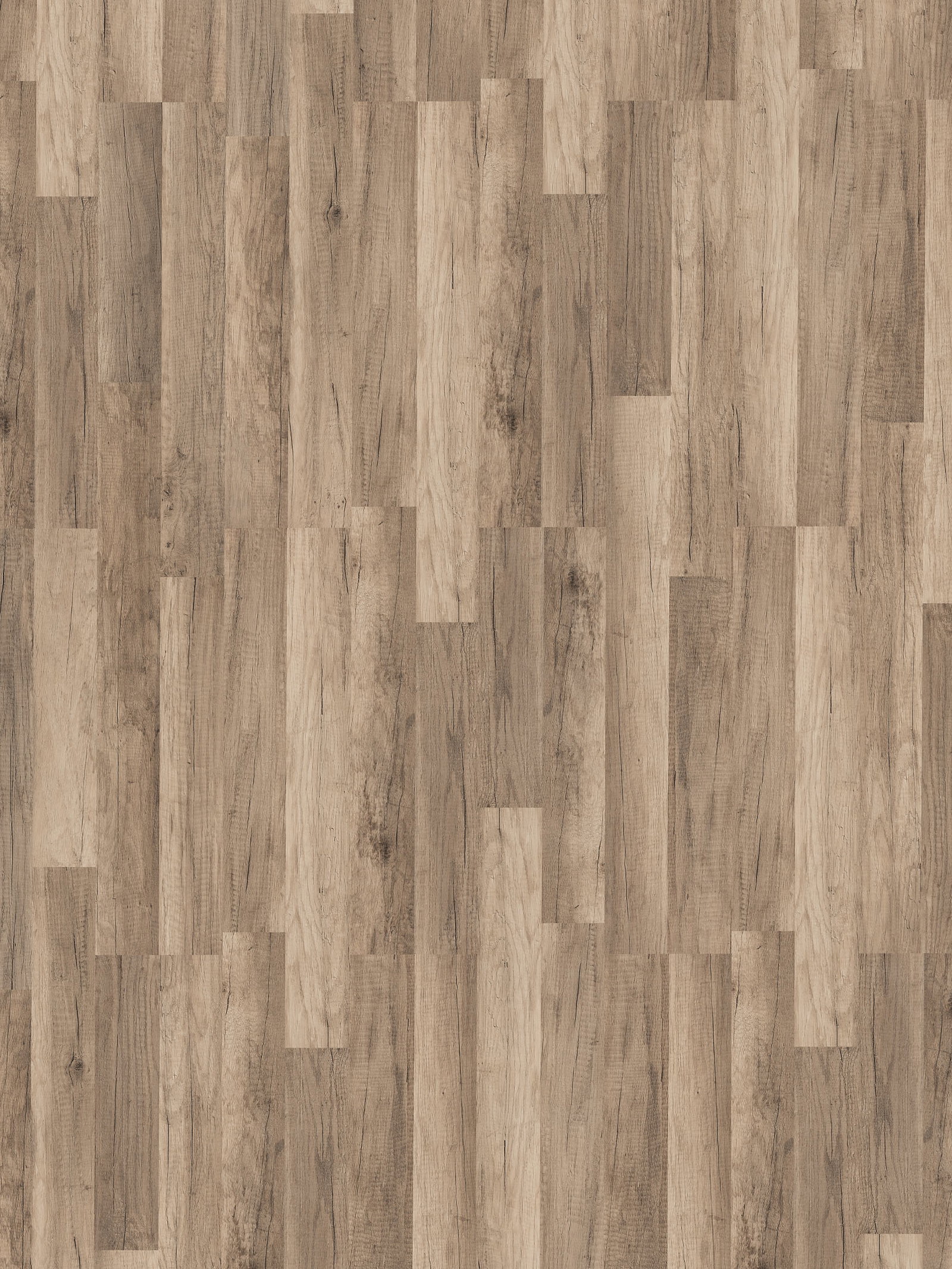 Calabria Oak