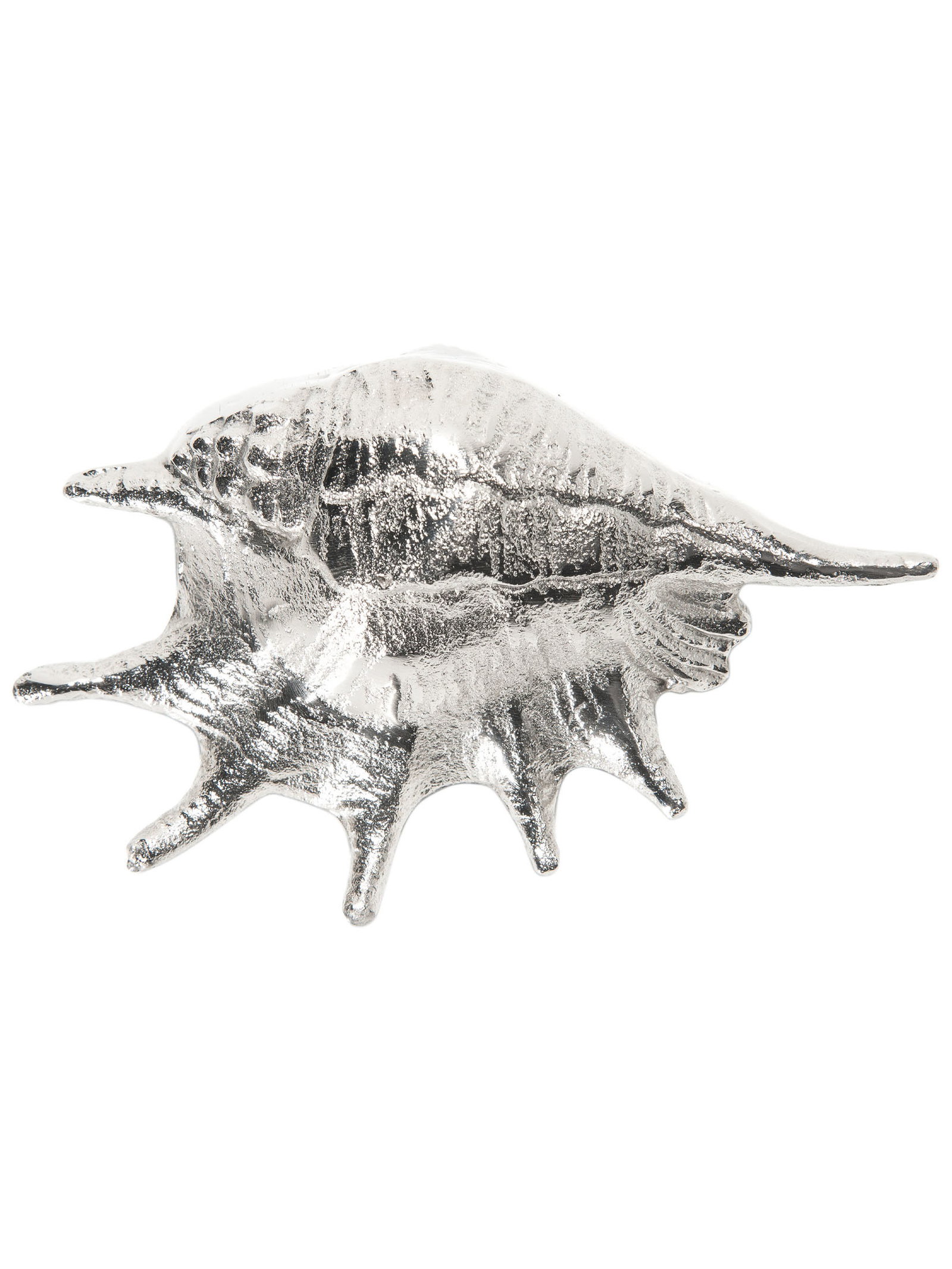 Seashell