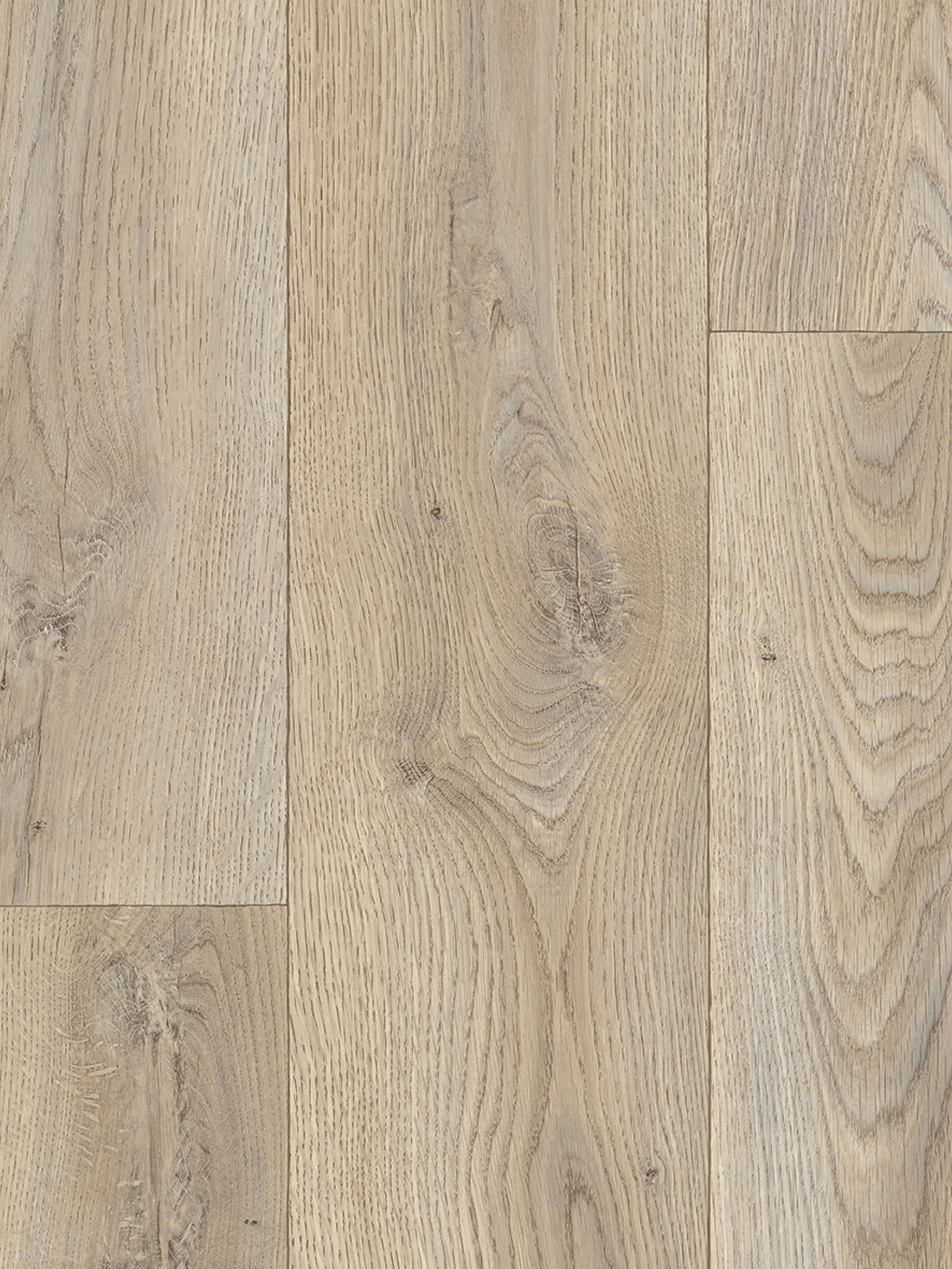 Canadian Oak