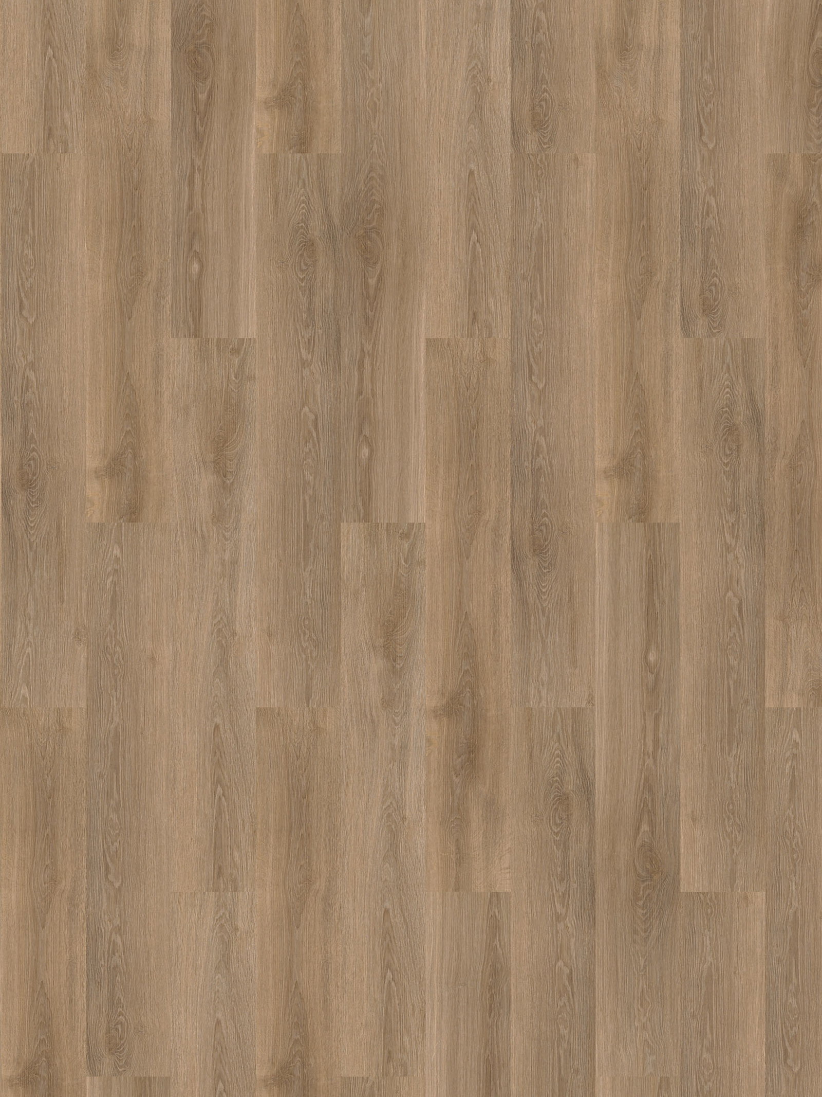 Copper Oak