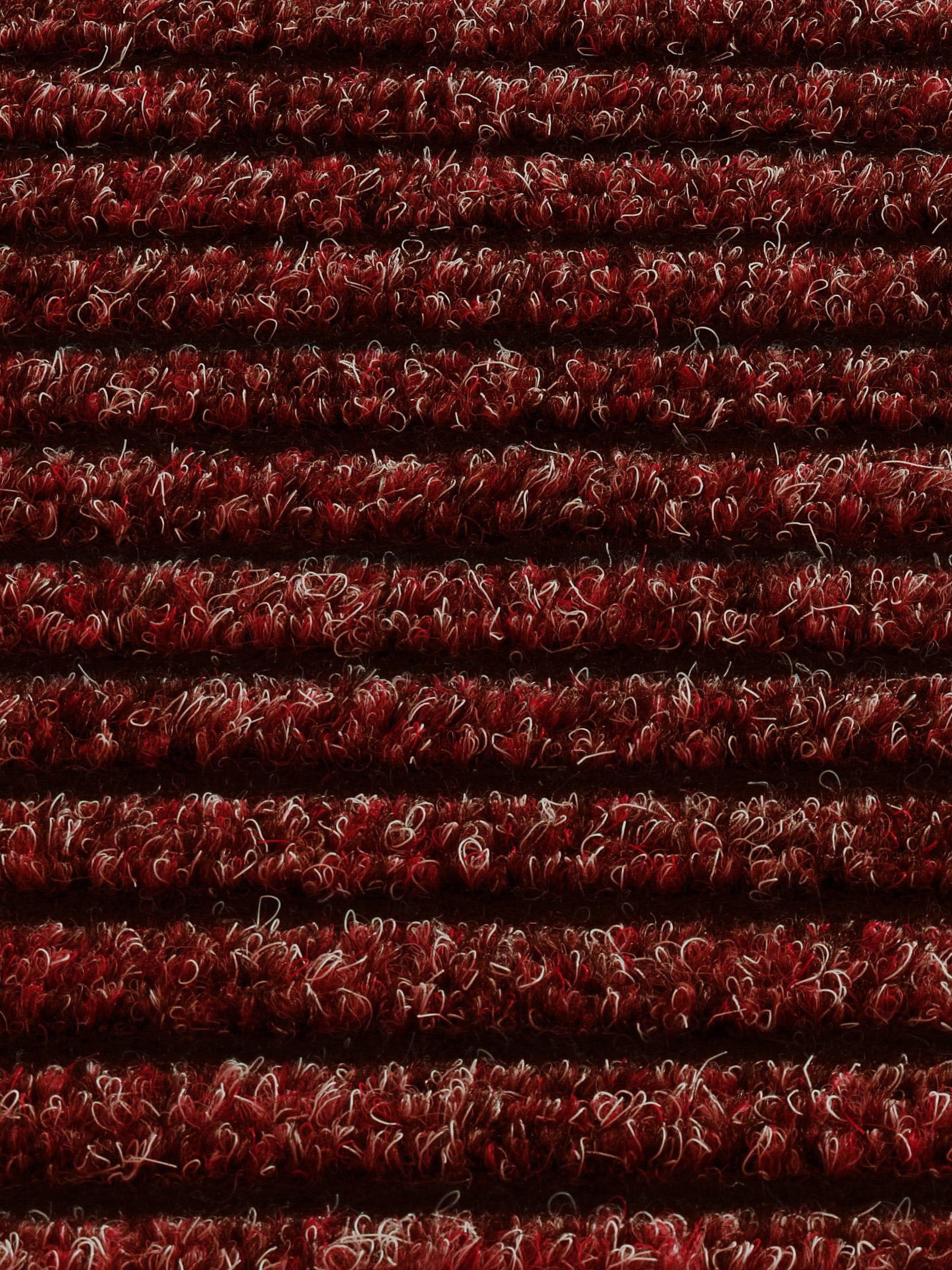 Rot