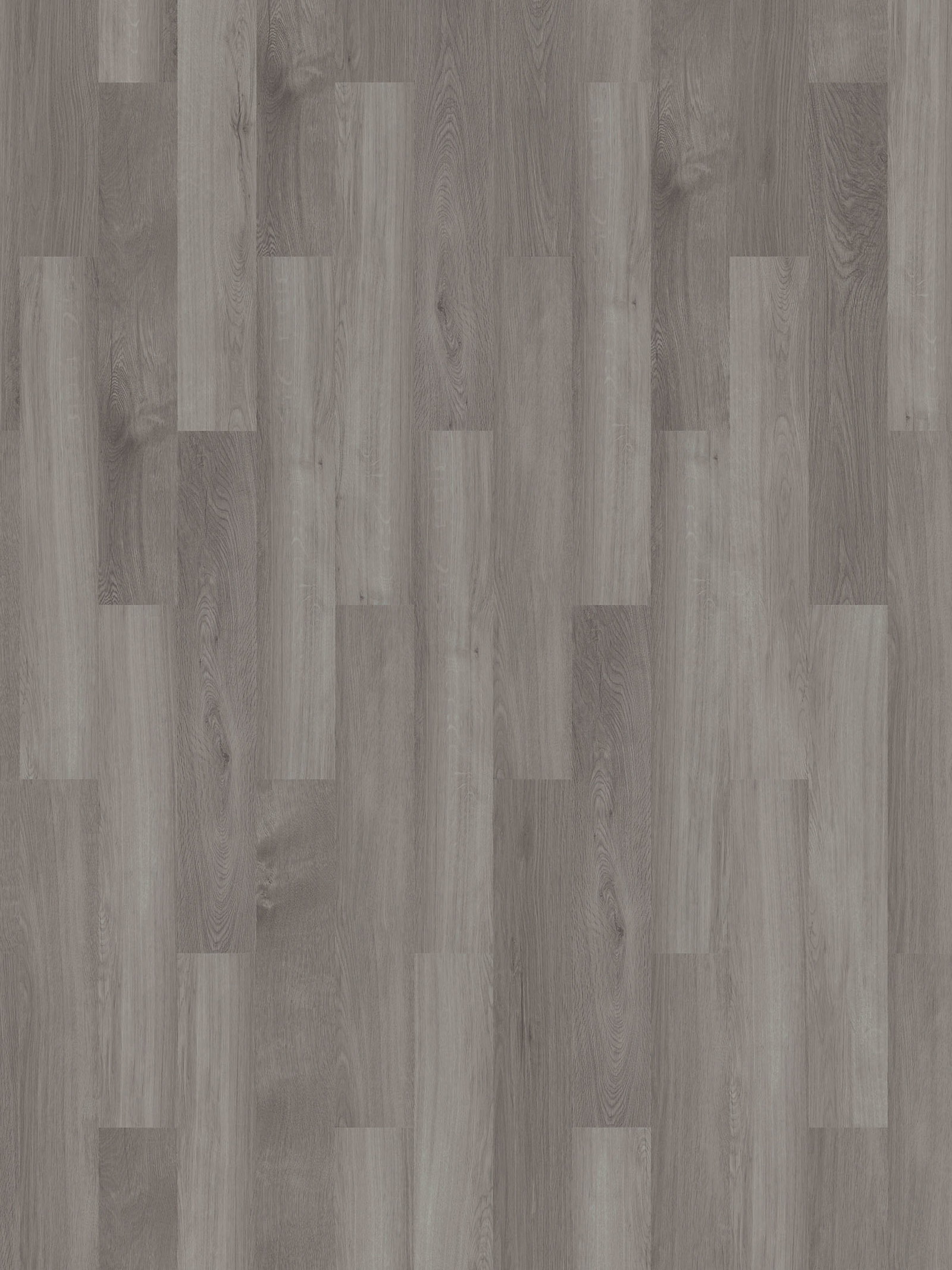 Glacier Oak