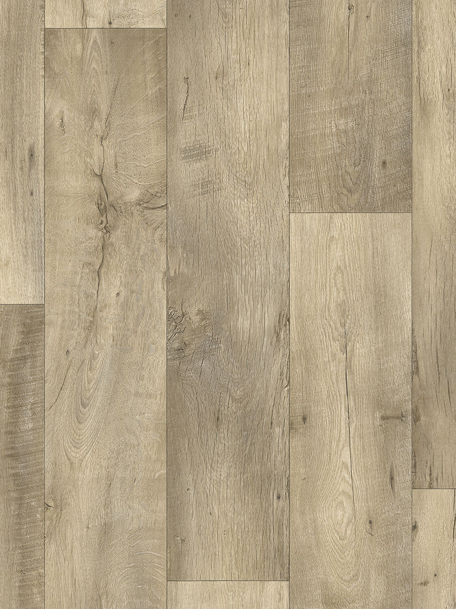 Dark Oak