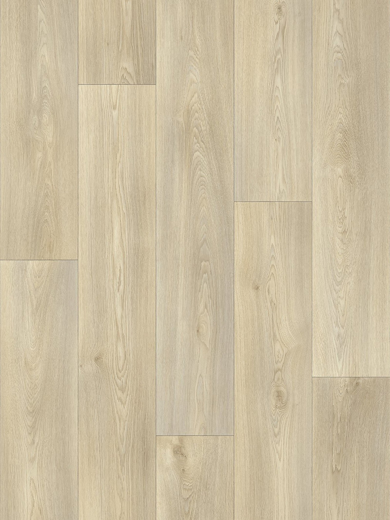 Colorado Oak