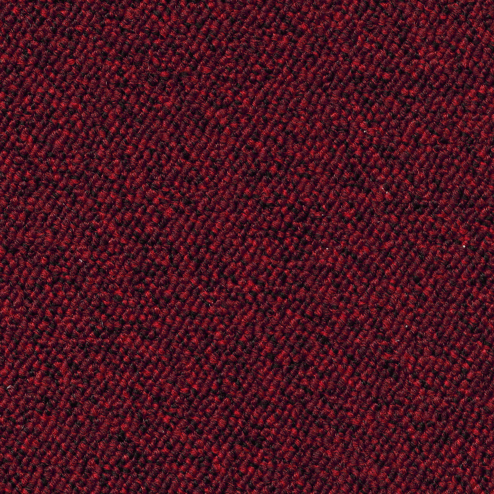 Rot