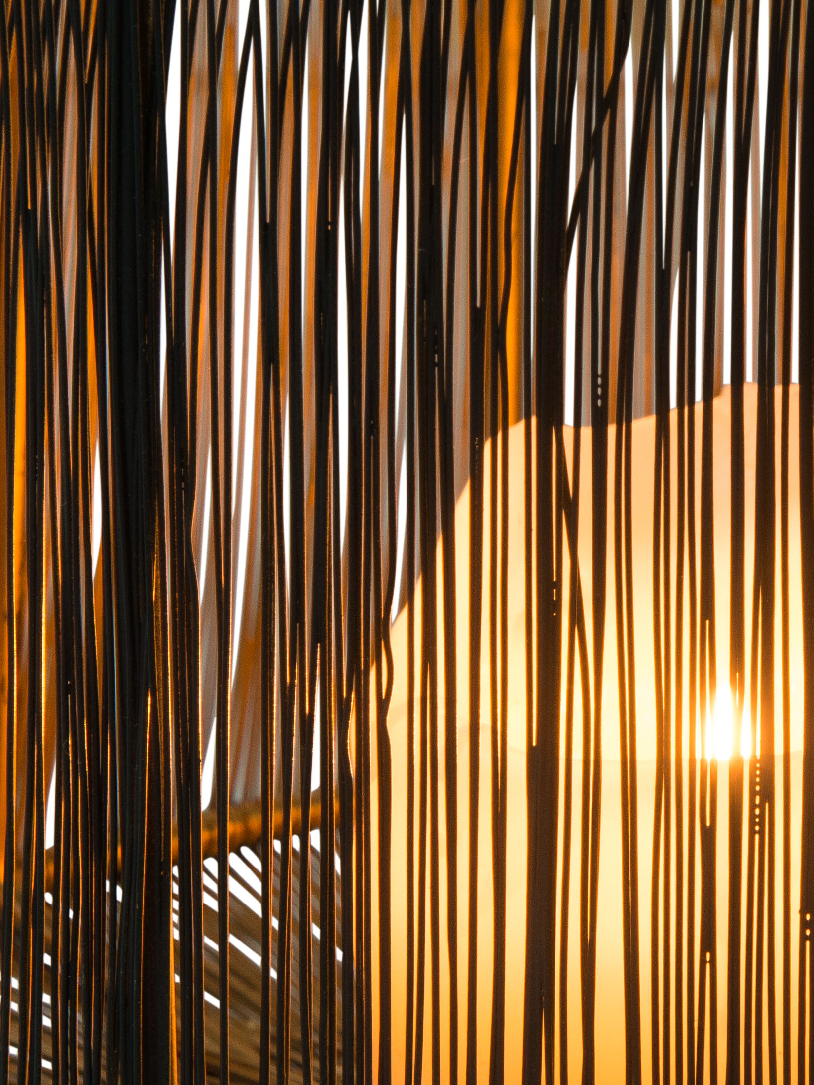 Schwarz/Gold