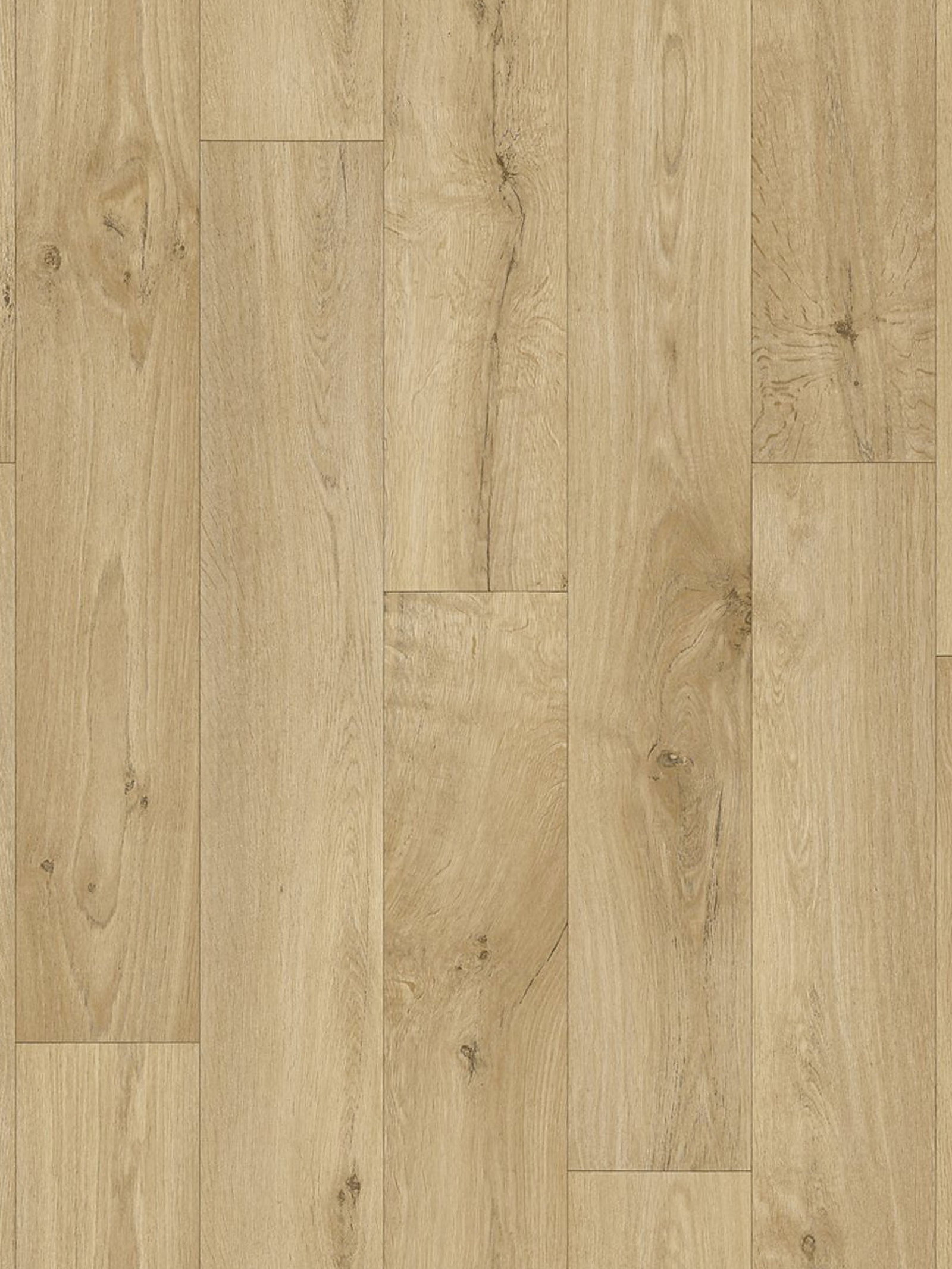Surf Oak