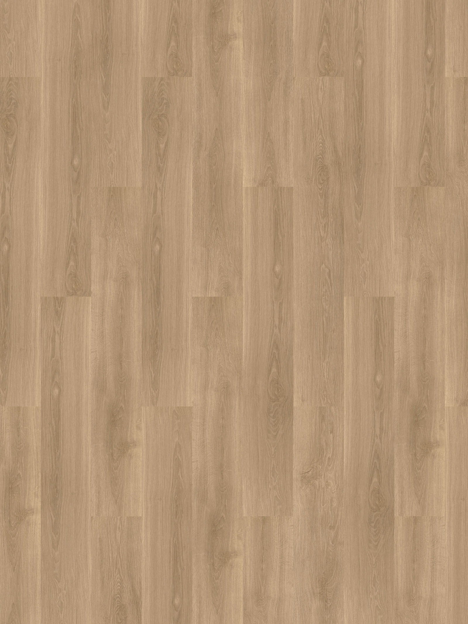 Noble Oak