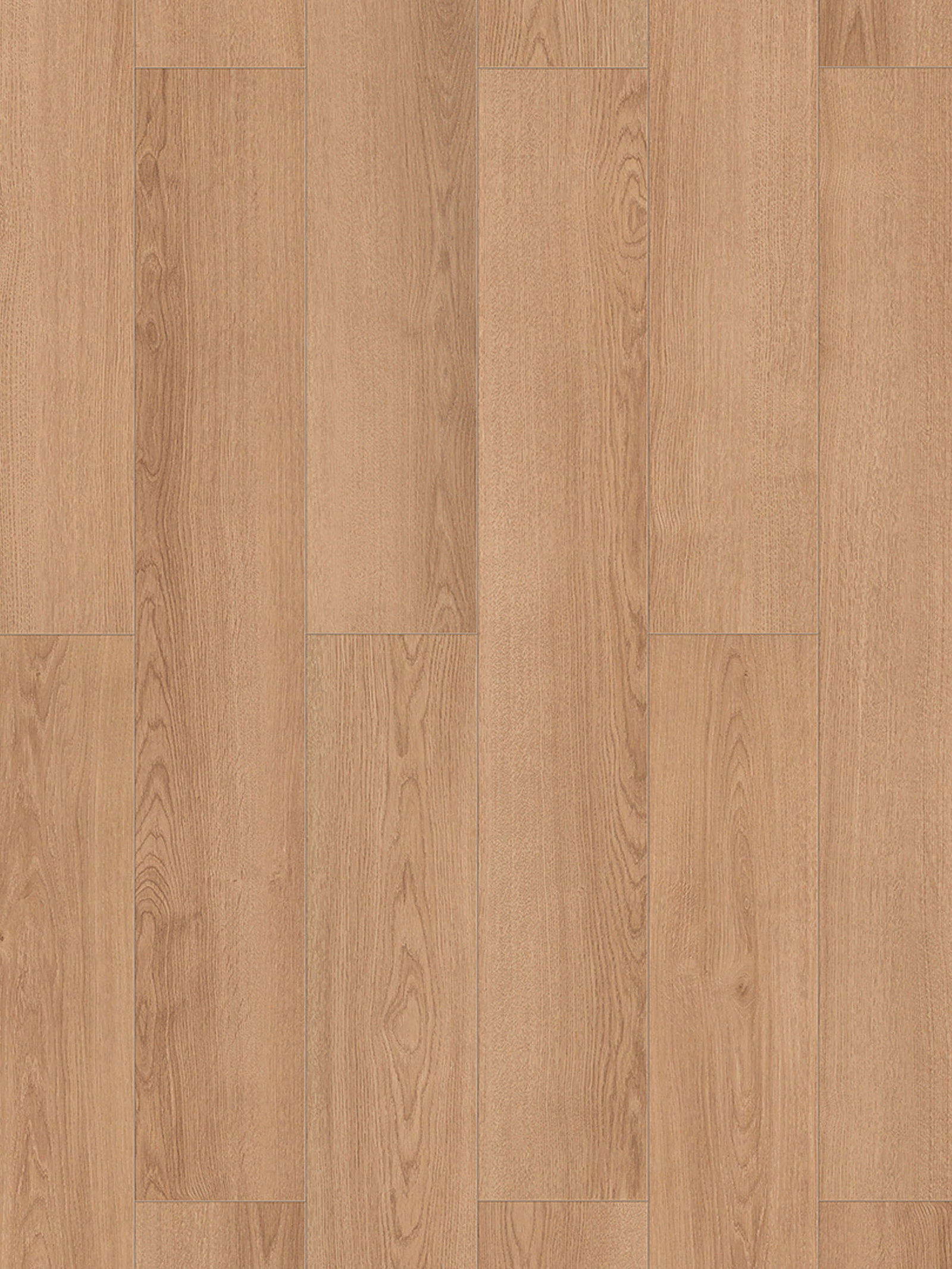 Oak Hobart