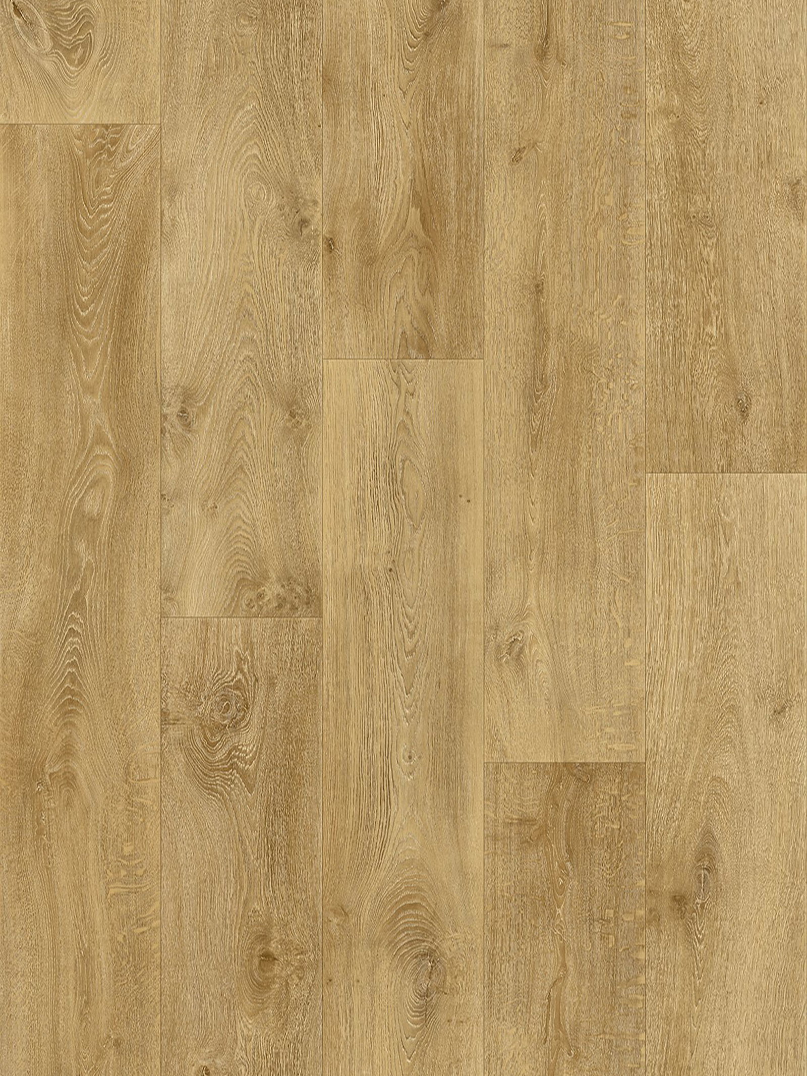 Wild Oak