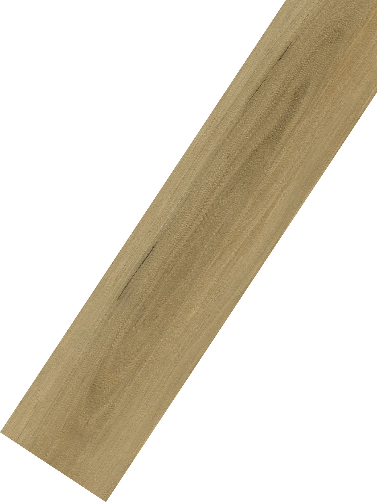 Seda