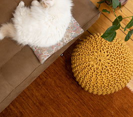 Weiße Katze liegt auf einem Kissen auf braunem Sofa neben gelbem gestricktem Sitzpouf und Pflanze.