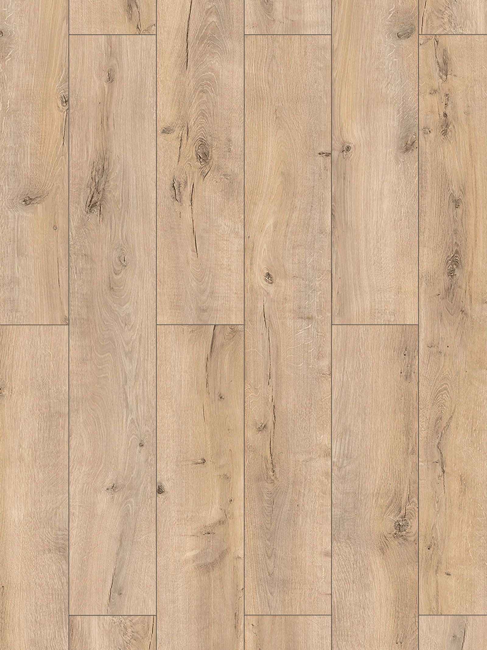 Lozano Oak