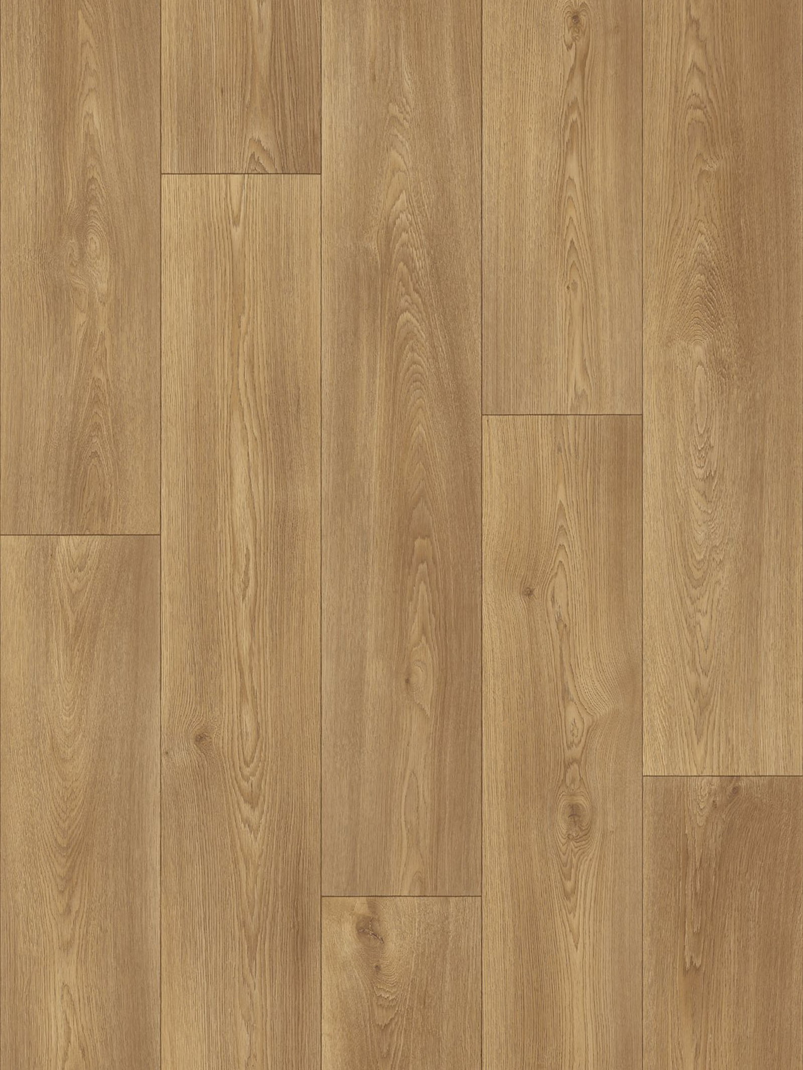 Noble Oak
