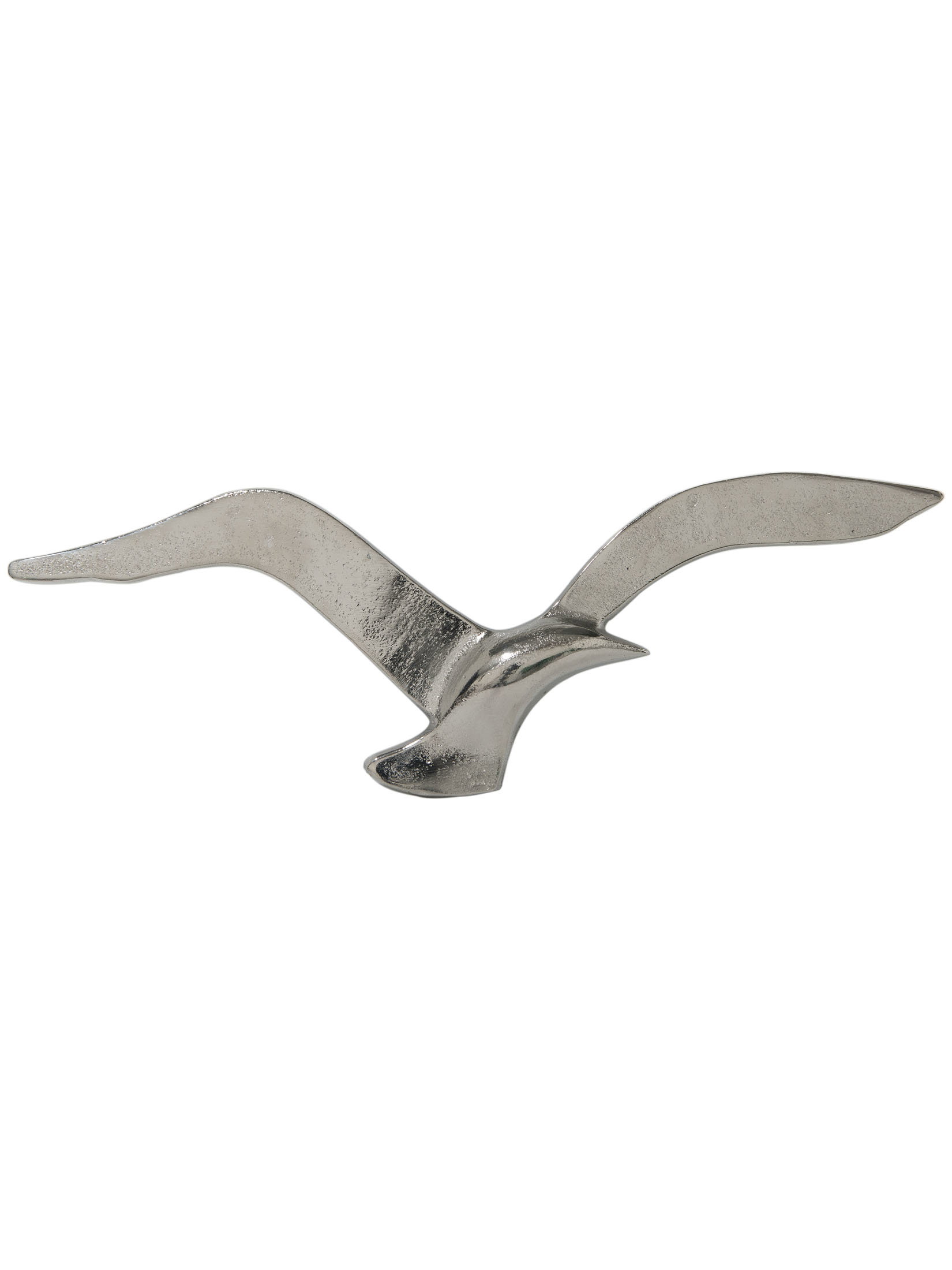 Seagull
