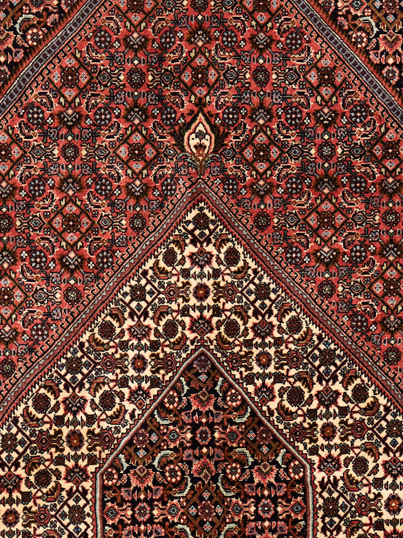 Bidjar Tekab
