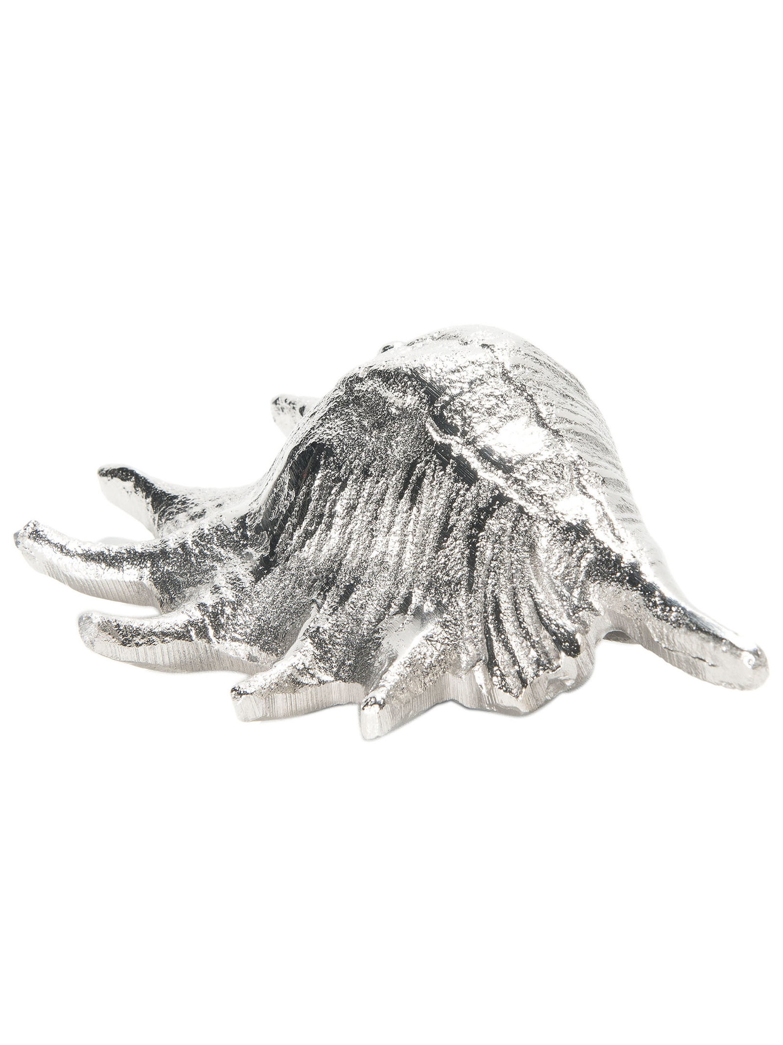 Seashell