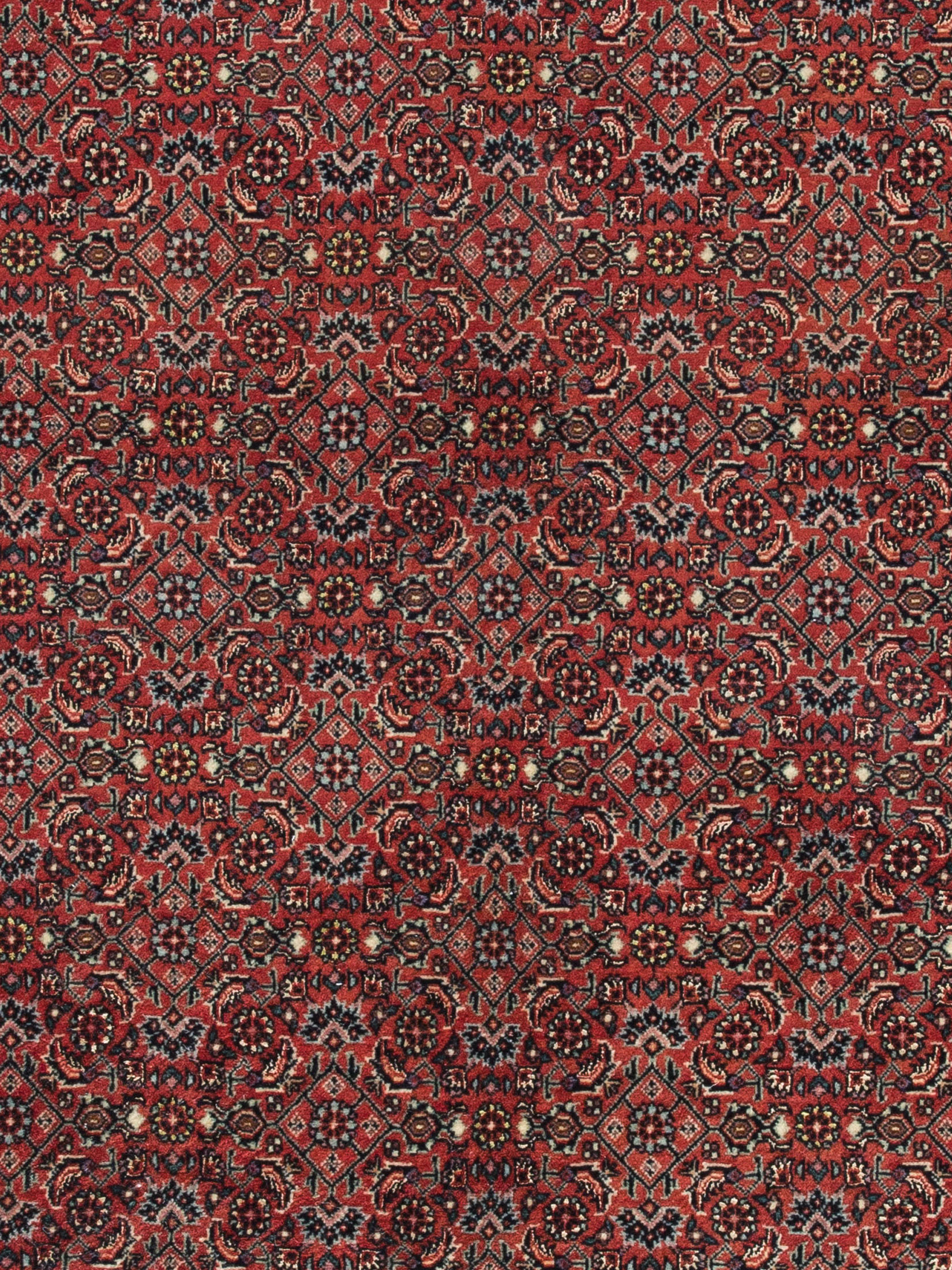 Bidjar