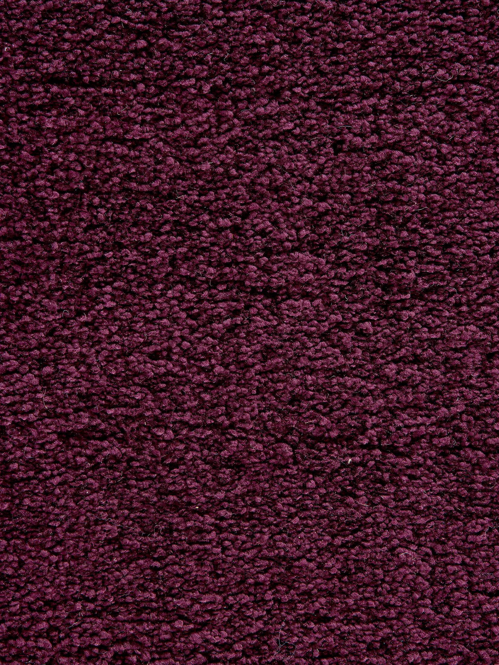 Aubergine