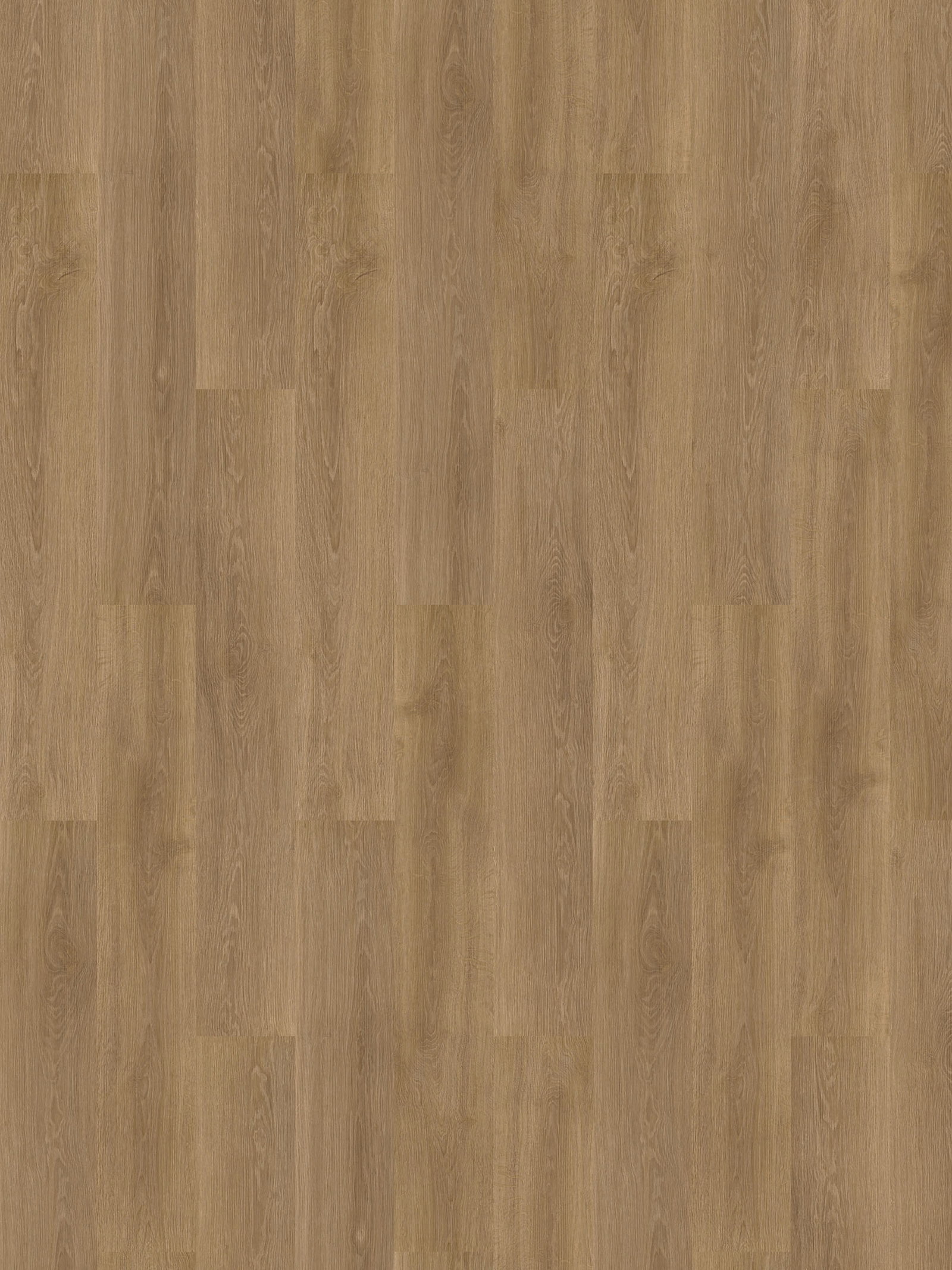Elegance Oak